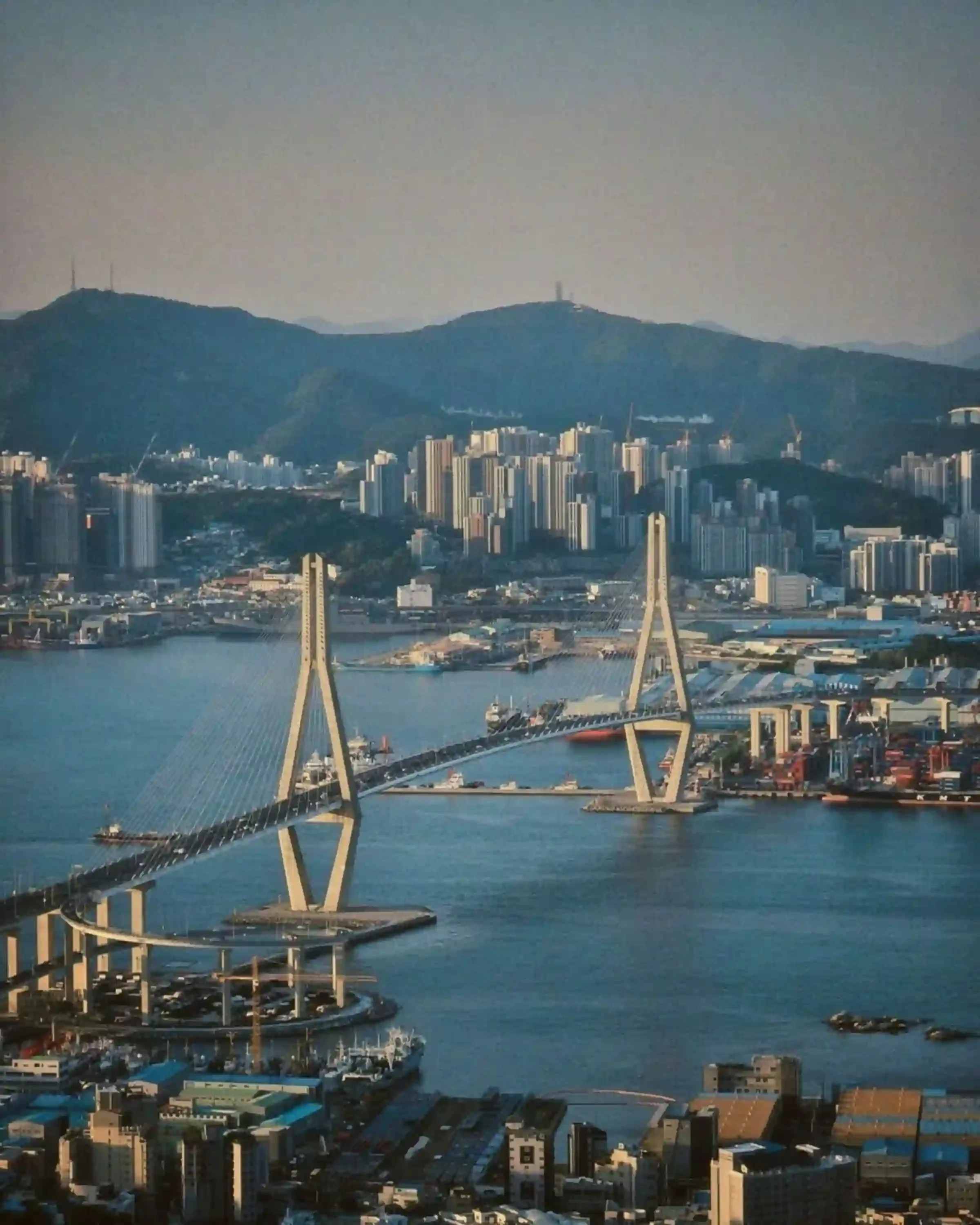 Korean container port facilitating trade, distribution partnerships and market expansion opportunities for international companies