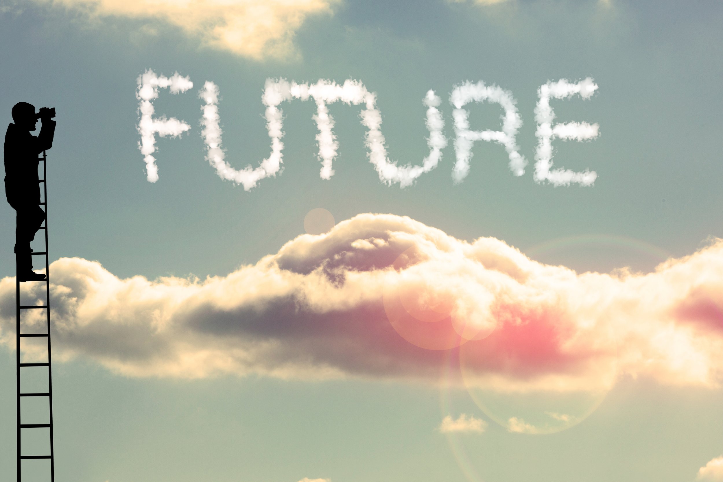 Silhouette of a man looking toward clouds with the word future, illustrating business strategy and long-term vision