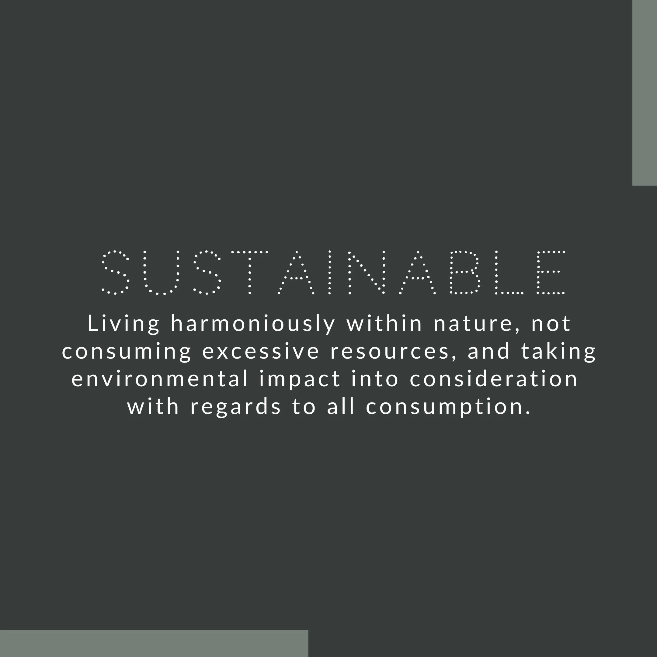 EARTH DAY SPECIAL IG POST.jpg