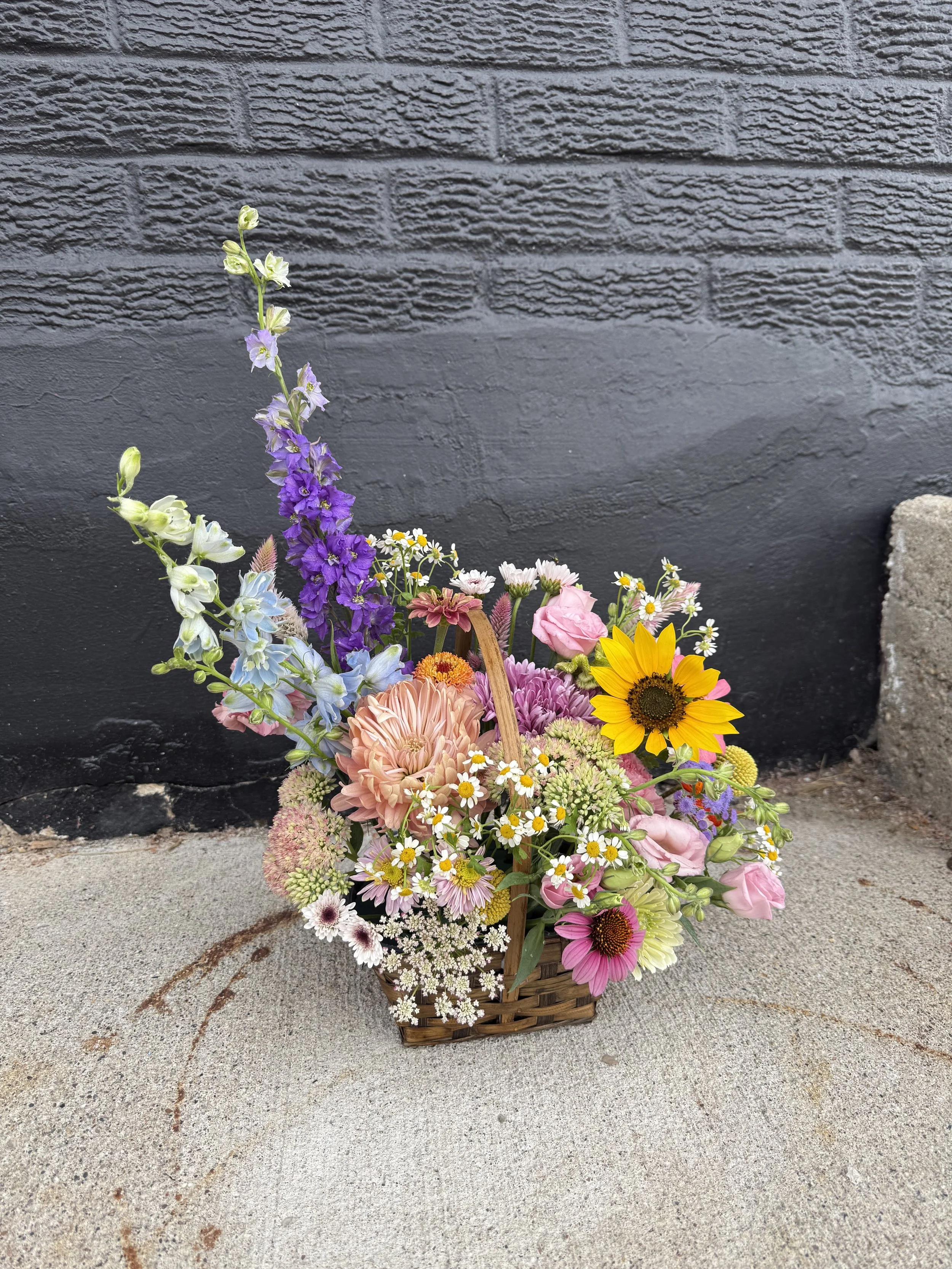 Photo Aug 09 2025, 9 53 05 AM.jpg