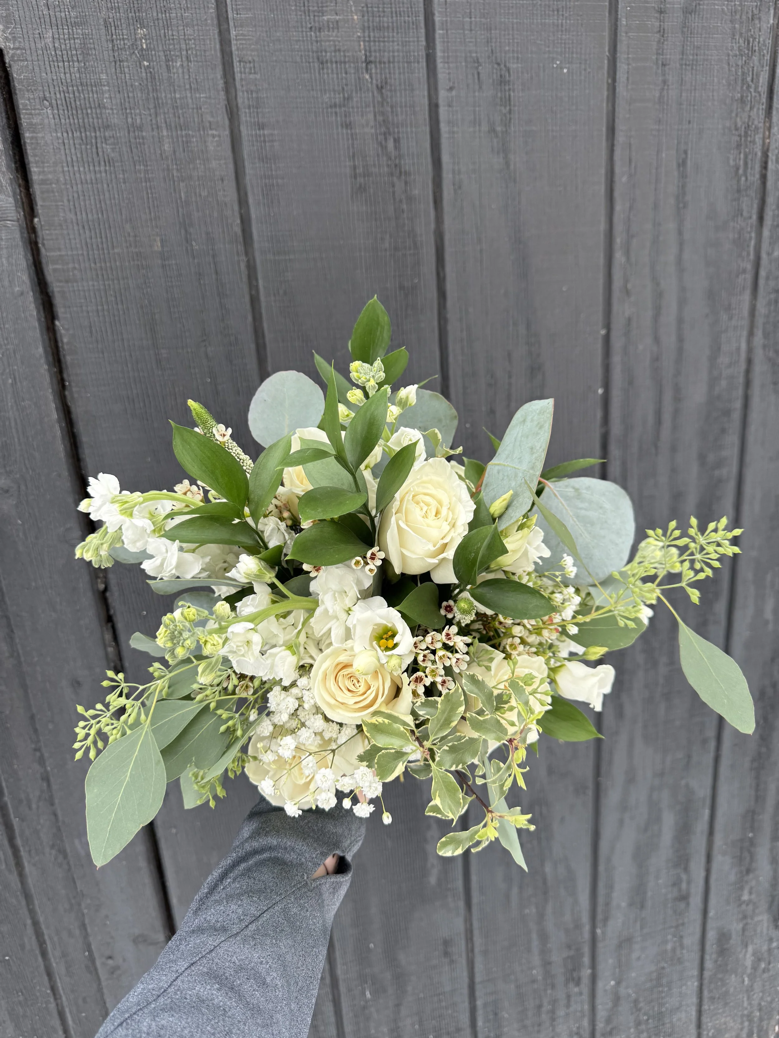 Photo Dec 12 2025, 10 48 34 AM.jpg