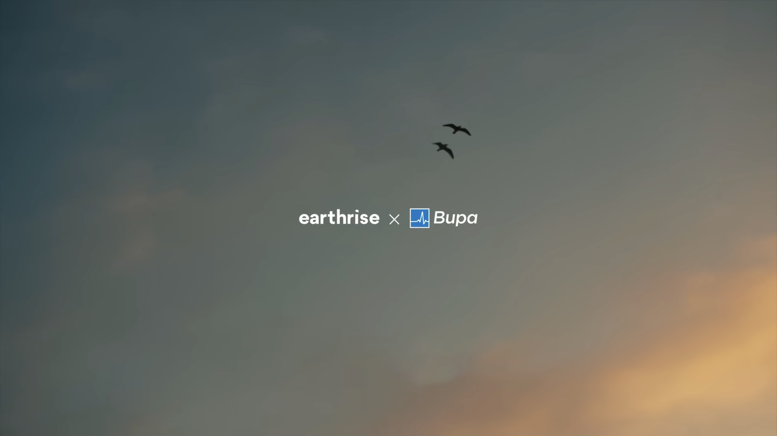I worked on a number of video and documentary-led campaigns for Bupa, including its Health Stories franchise exploring real human experiences of health. One standout project involved collaborating with filmmaker and climate activist Alice Aedy and he