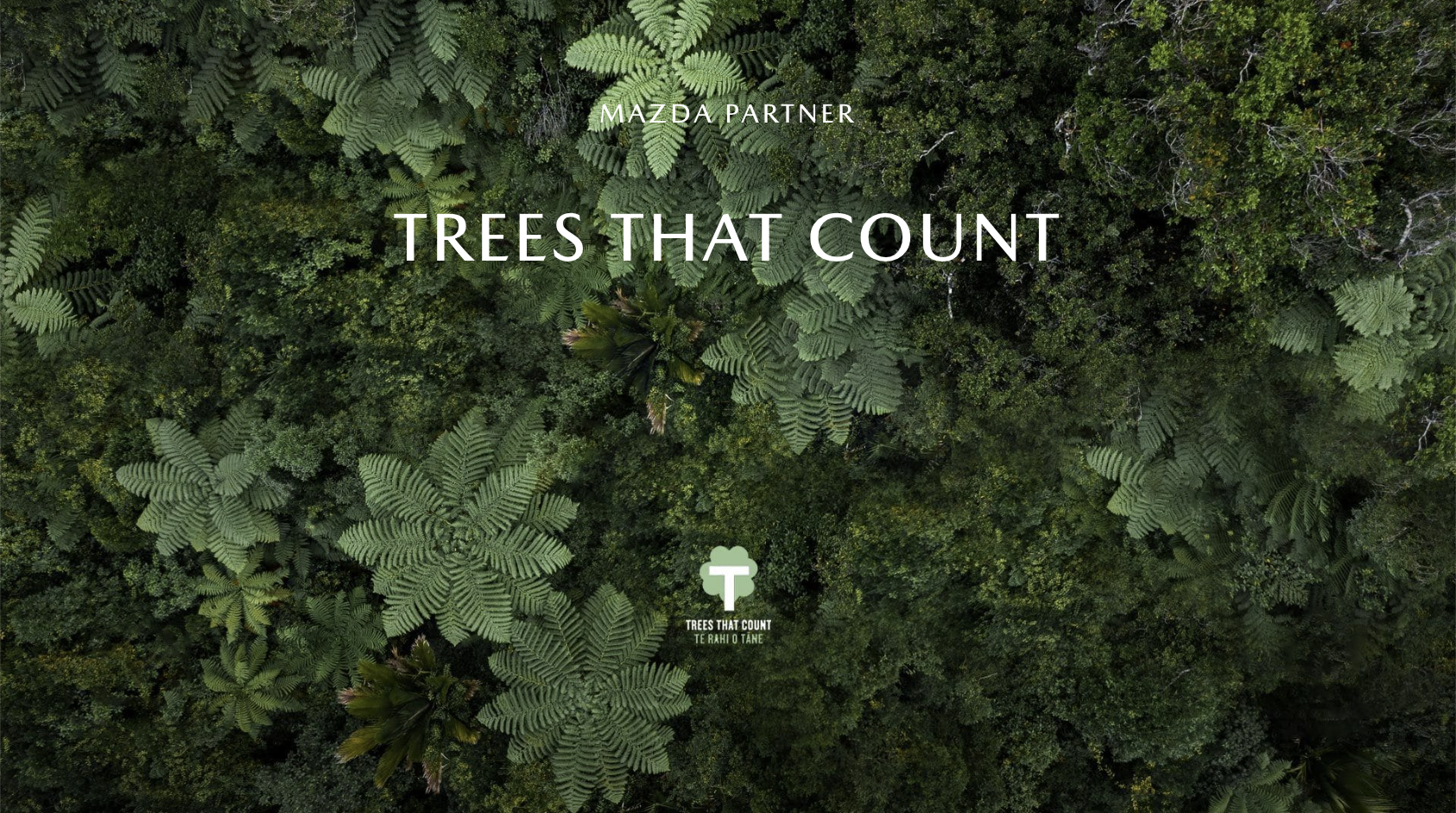 Communicate Mazda’s Sustainability journey in a TVC and content series hosted by Dr Riley Elliot, in partnership with Trees That Count.