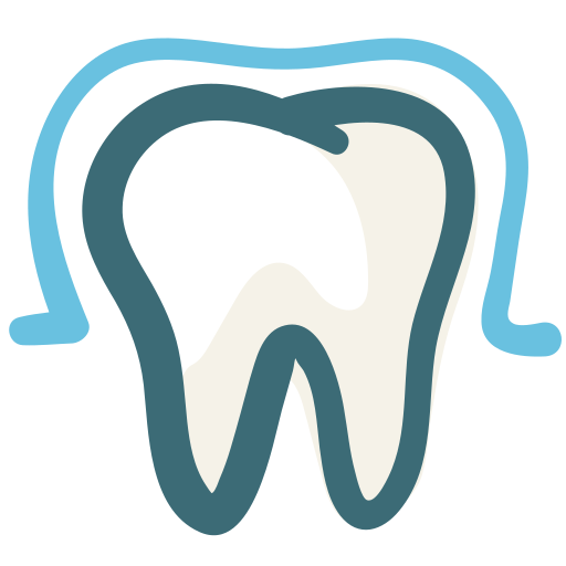 Illustration of a tooth with roots, showing the inner structure and root canal.