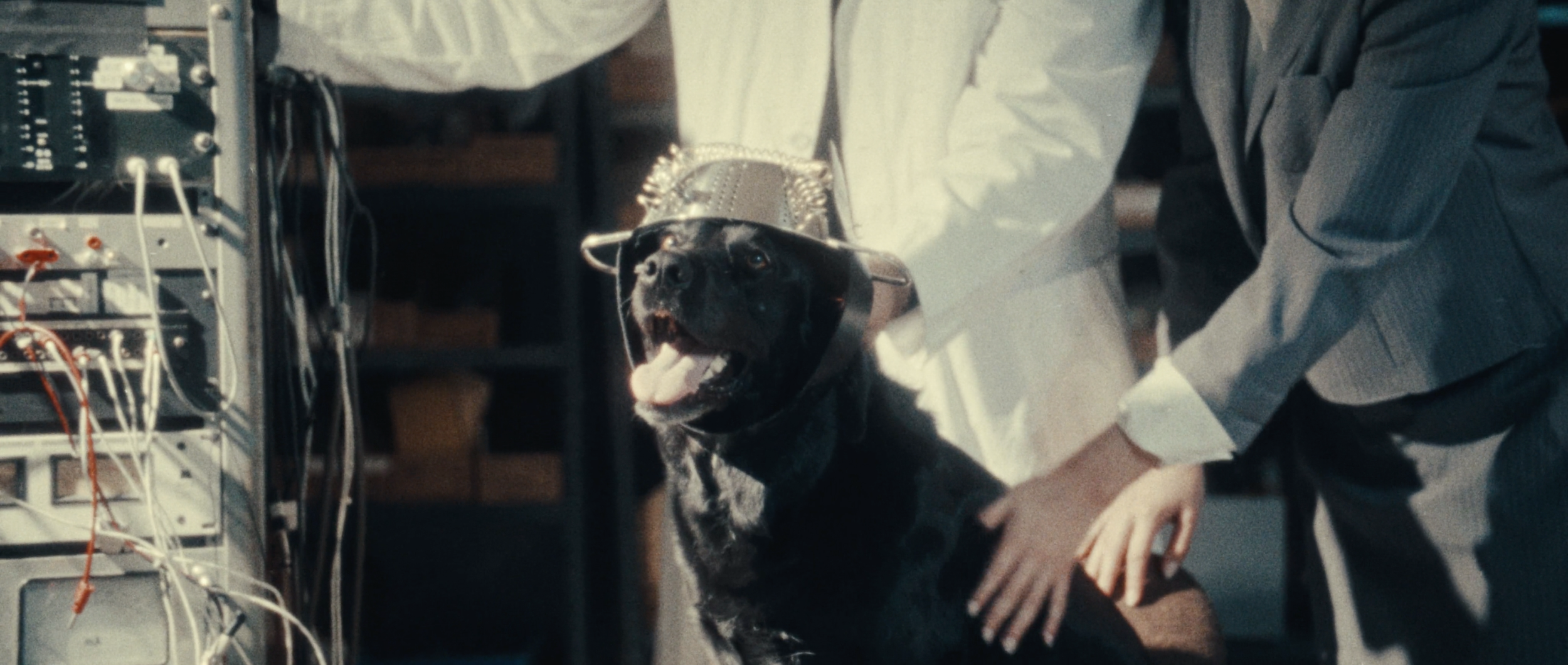 Screen Shot 2025-12-19 at 12.53.07 PM.png