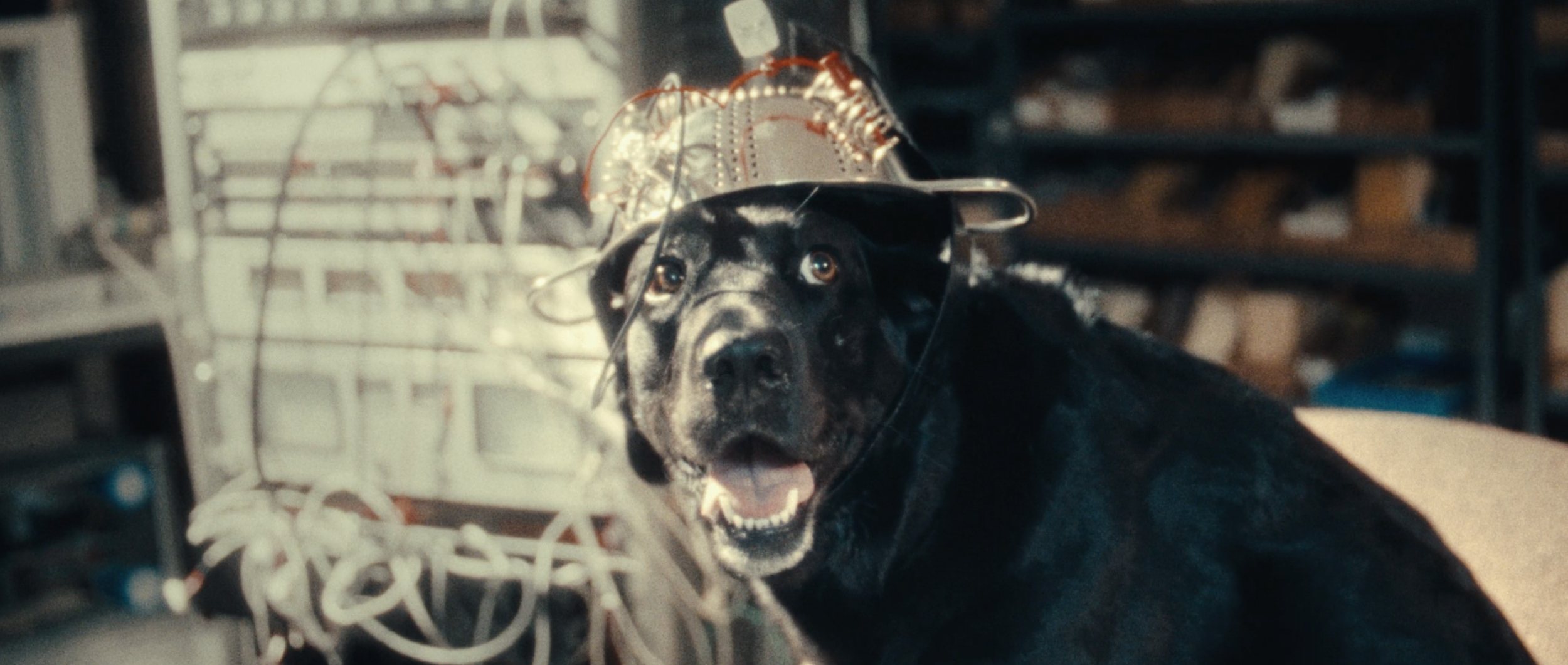 Screen Shot 2025-12-19 at 12.53.48 PM.png