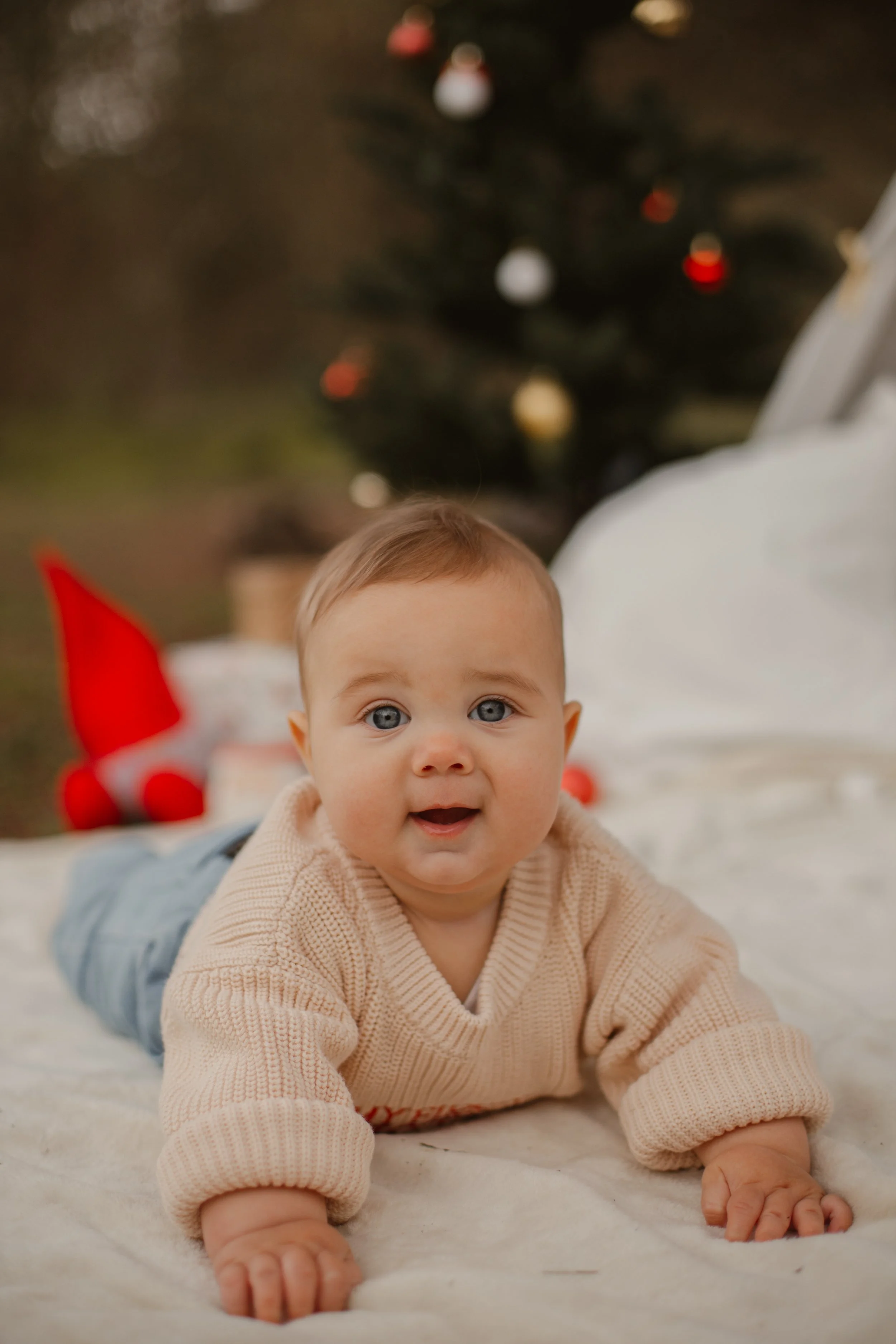 A baby with blue eyes and a beige sweater lying on a blanket in front of a Christmas tree.