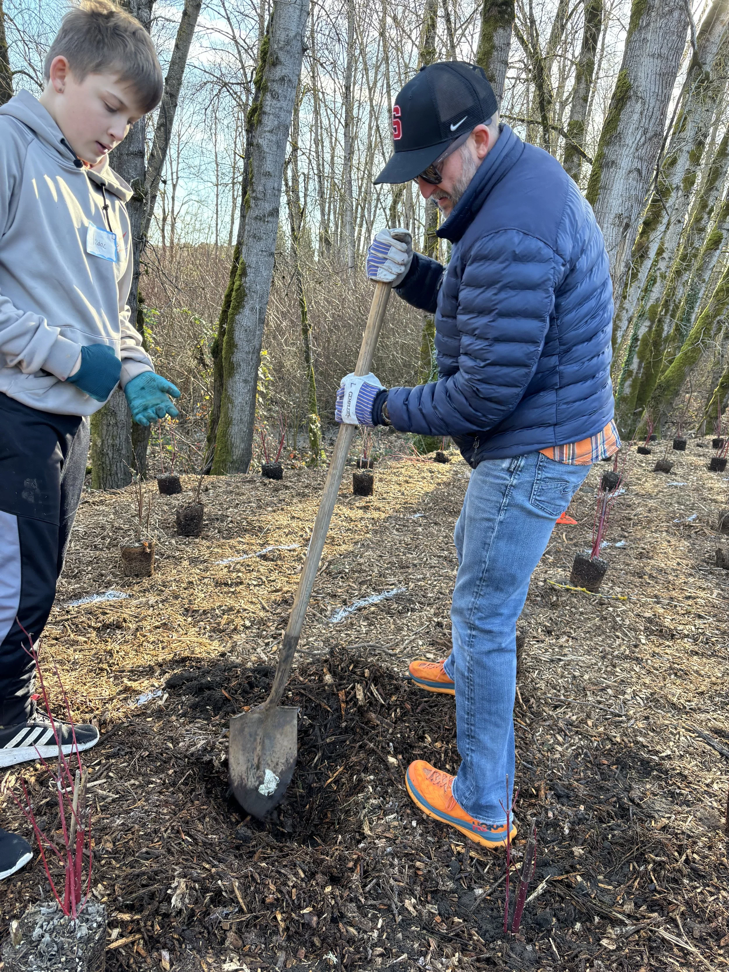 Ben Christly and his son planting a tree in a wooded area, one person digging with a shovel, the other observing. Young trees are in small pots with pink wires supporting them.