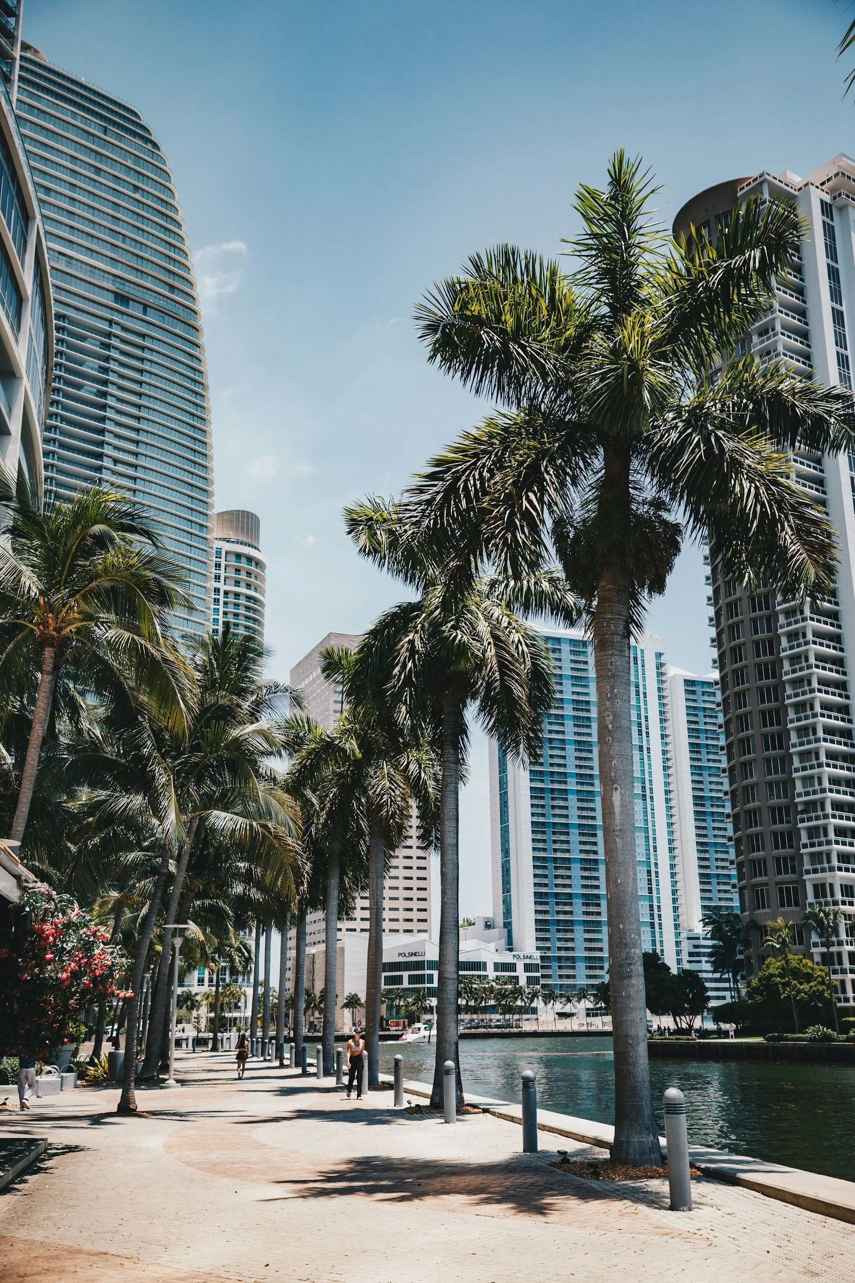 High-rise buildings and tall palm trees along a waterfront promenade in a modern city, under a clear blue sky.