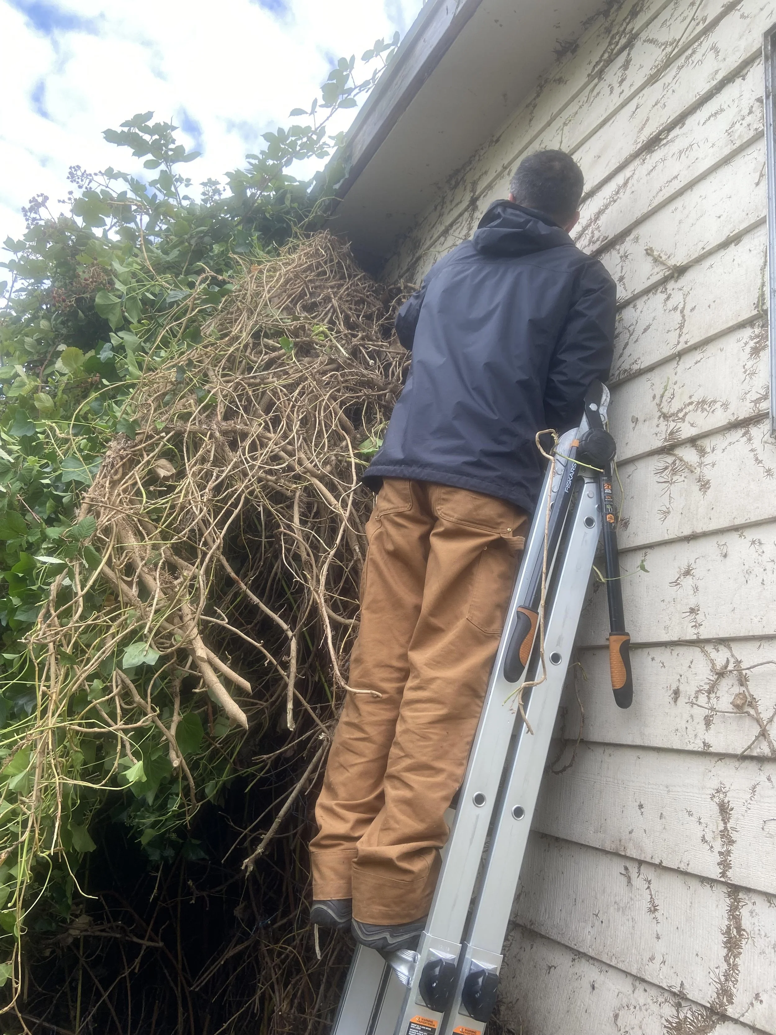 robert home in progress.jpg