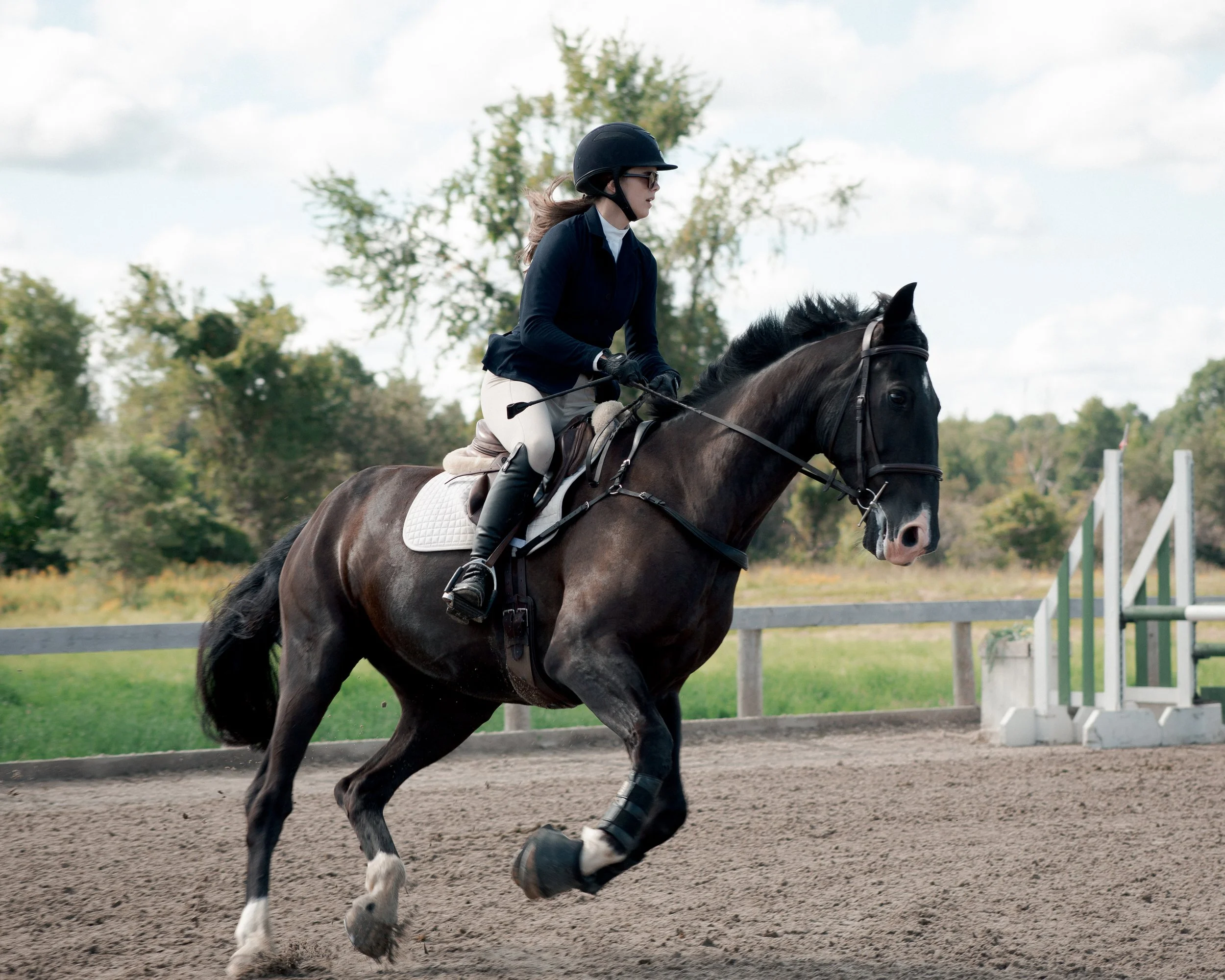 Meadowlarke-Sep26-14.jpg