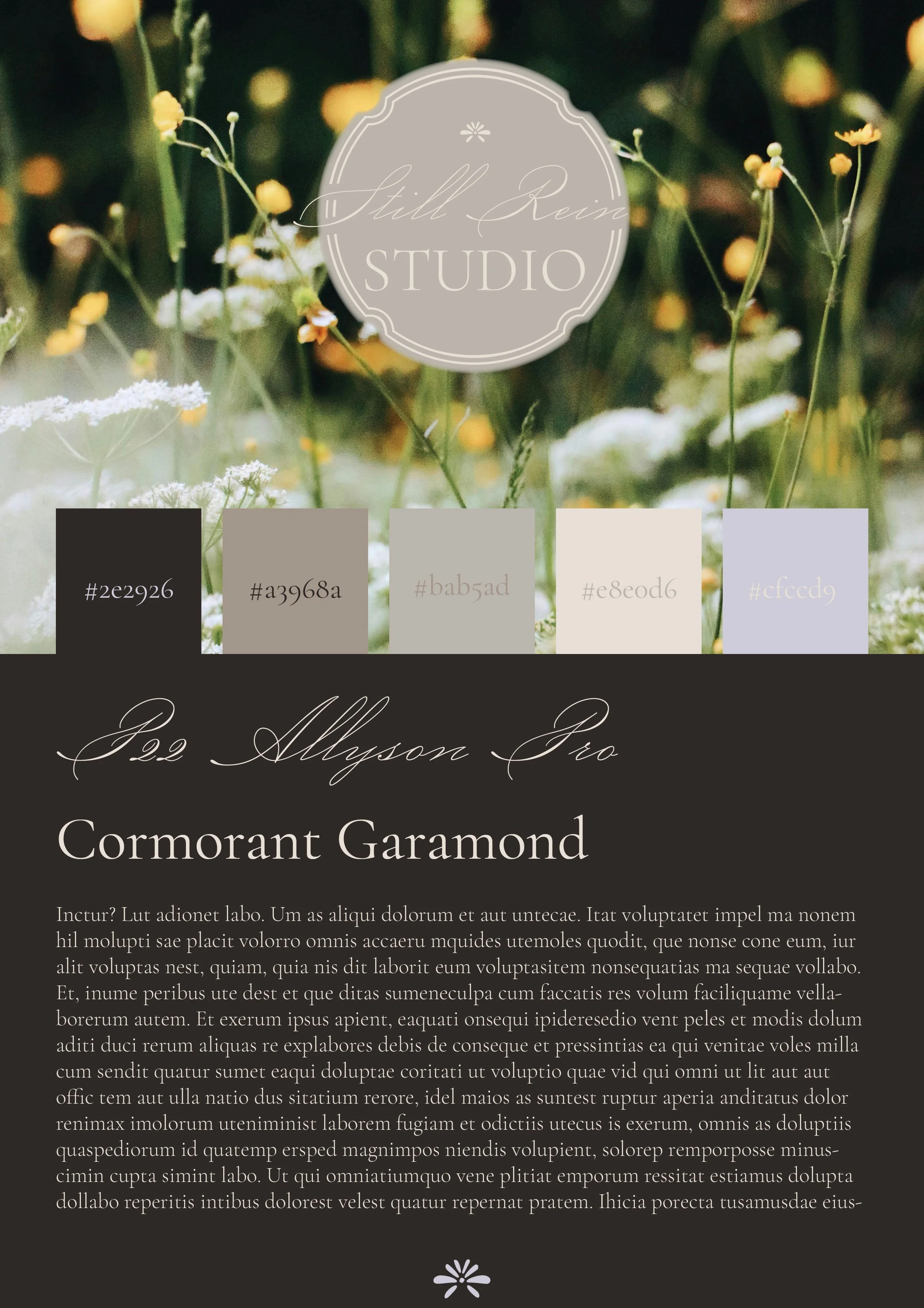 StillRein-BrandGuide.jpg