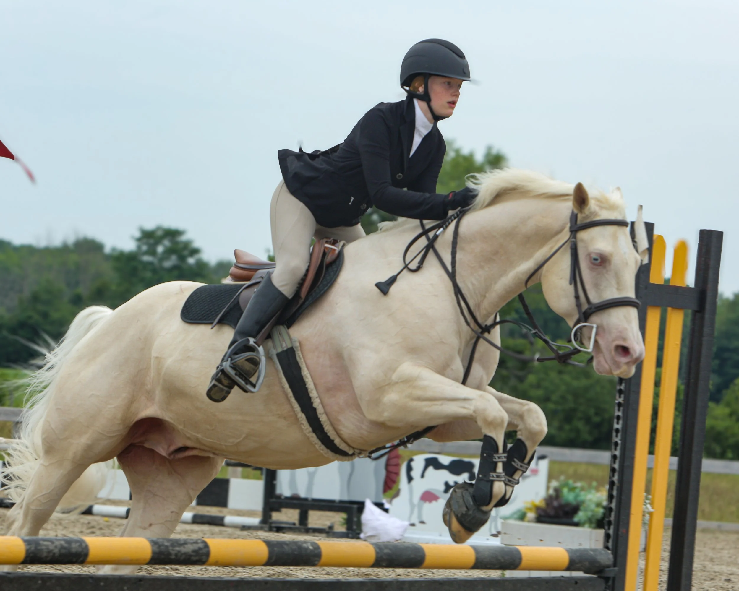 Meadowlarke-July-Day2-22.jpg