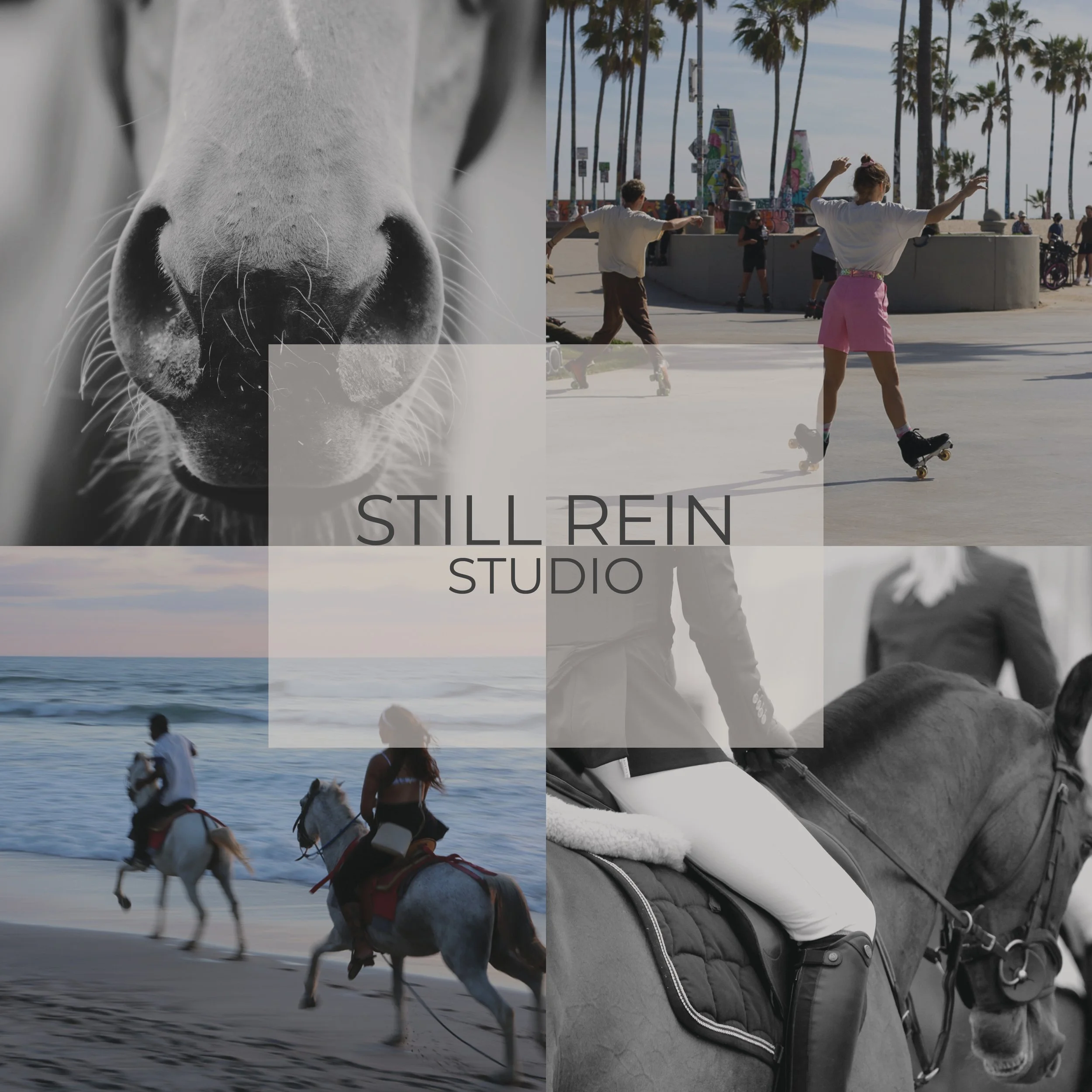 CoverPage-StillRein.jpg