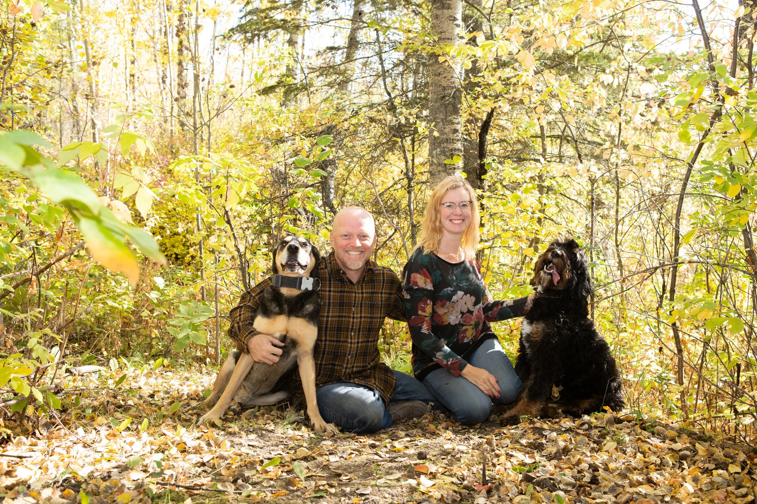 A man and a woman sitting on the ground with two dogs in a forest during fall. The man is holding a tan and black dog, while the woman is petting a bernedoodle dog. Sunlight filters through the trees, illuminating the Alberta scene.