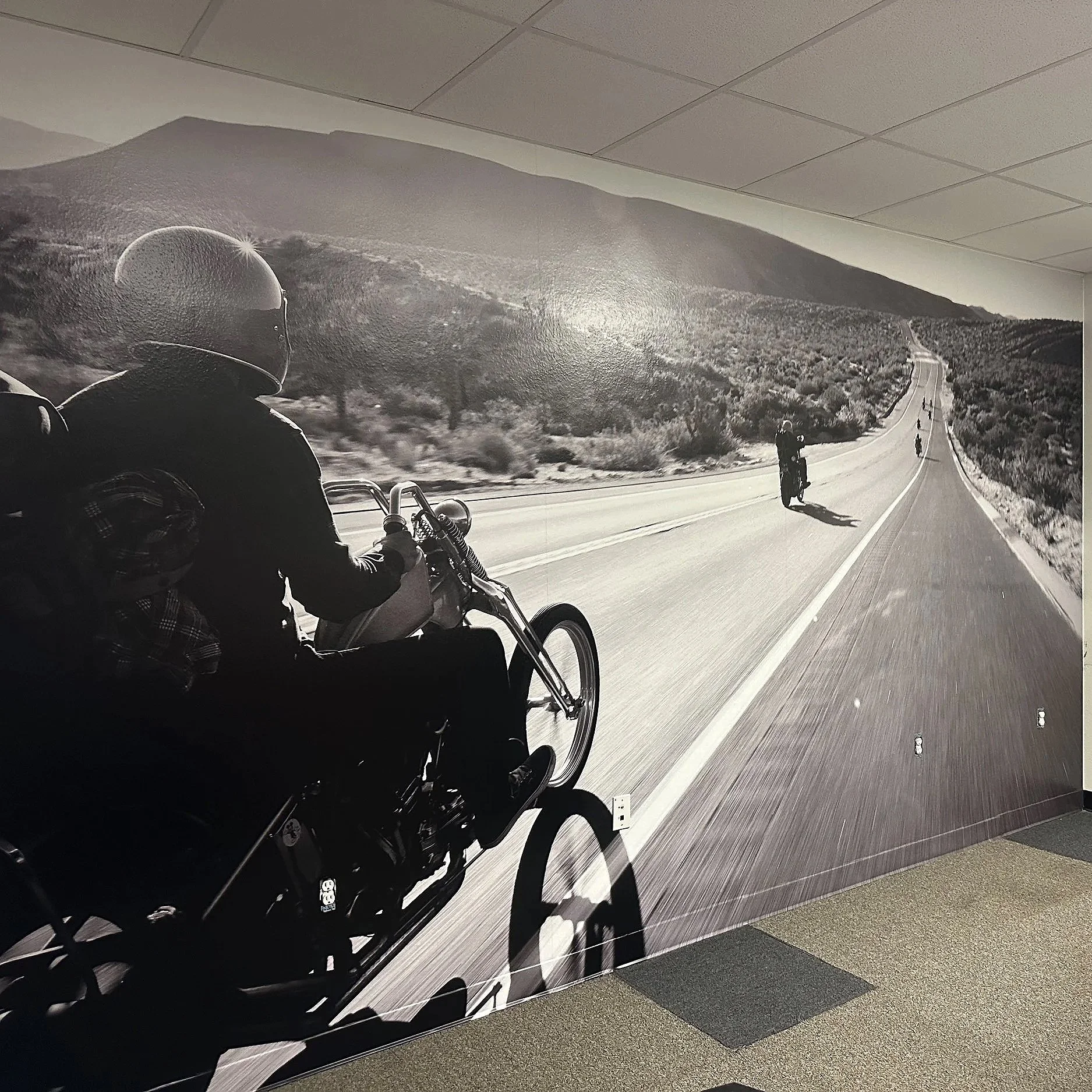 Custom Wall Wrap for Biltwell