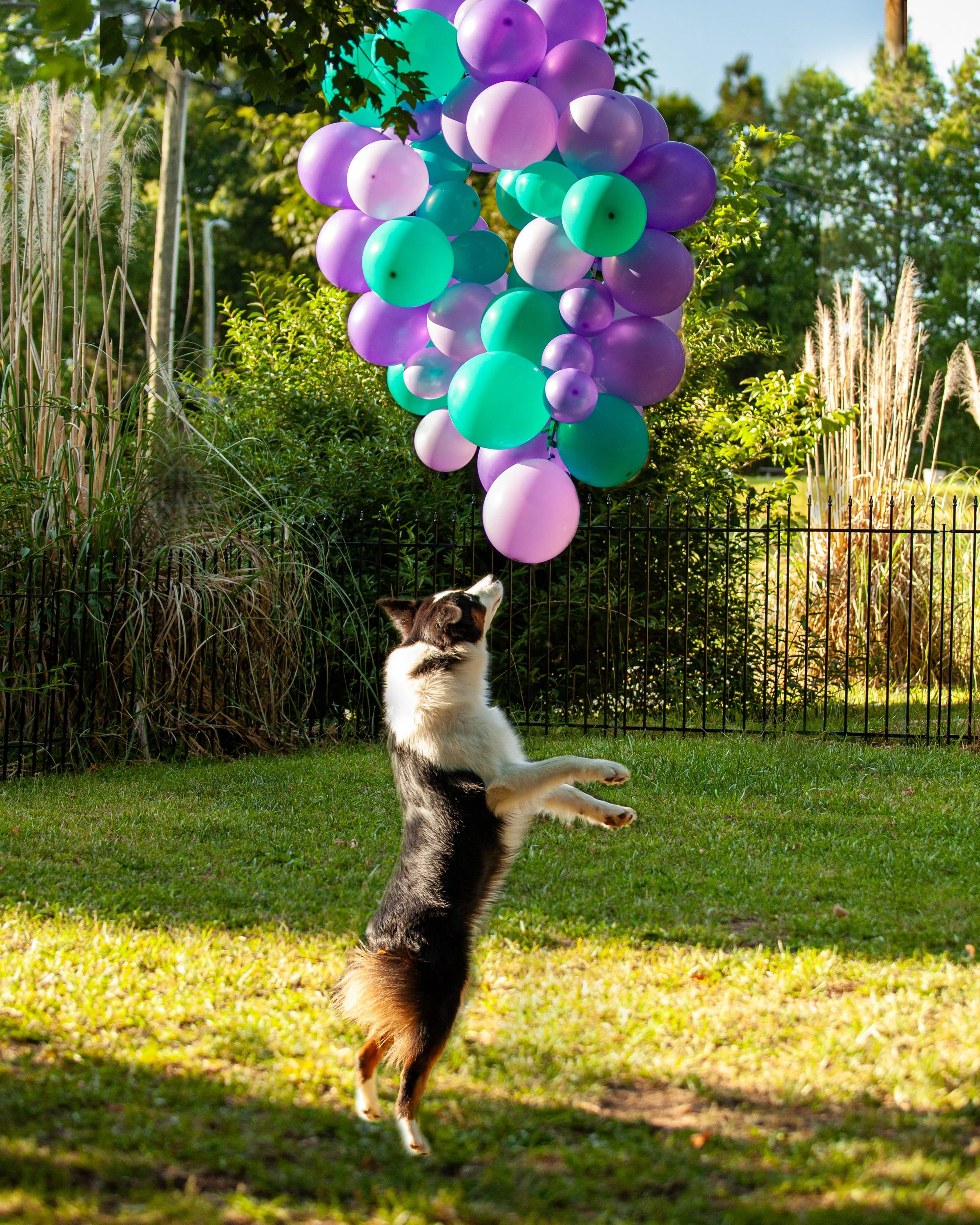 Morganna1stBday.jpeg