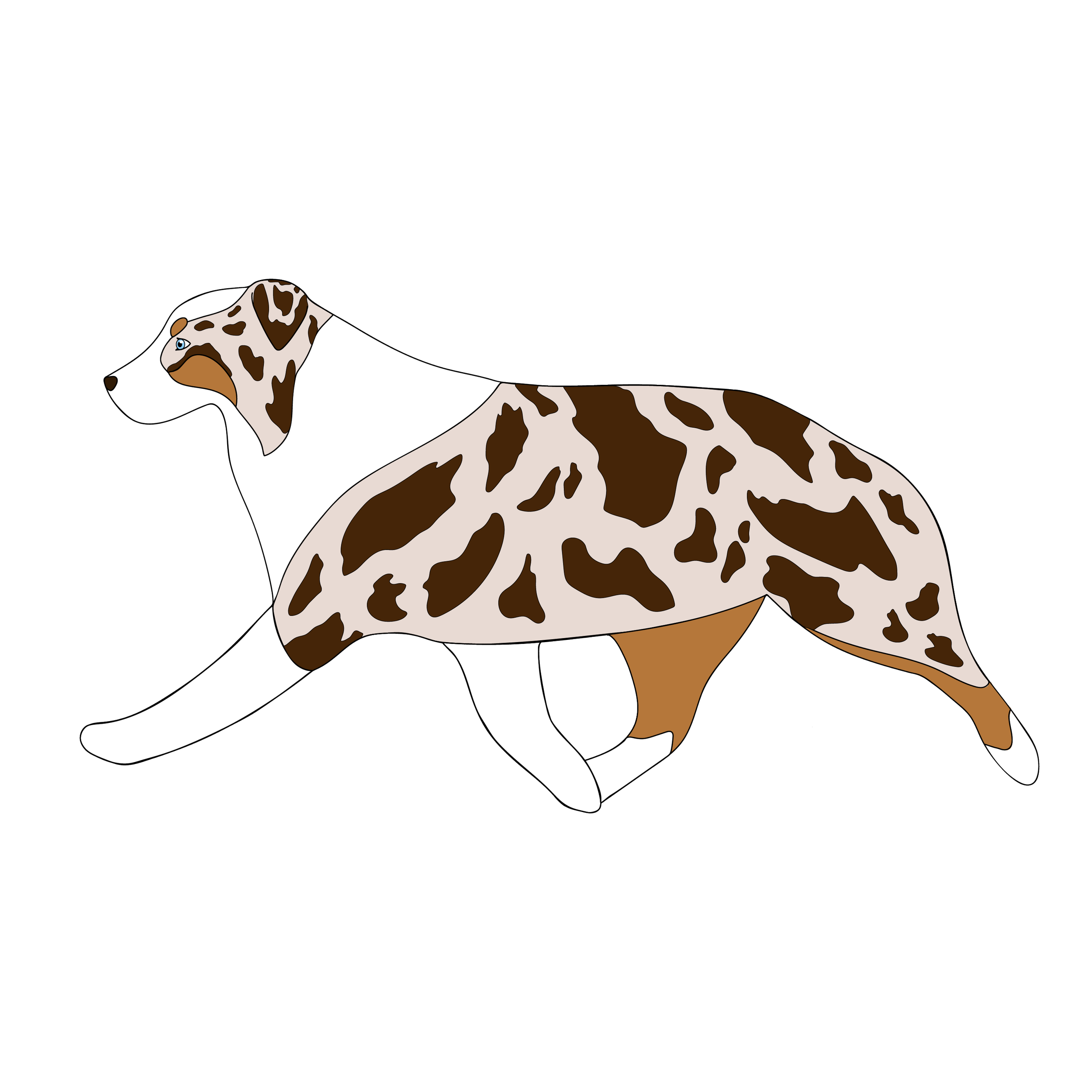 IMG_1056.png