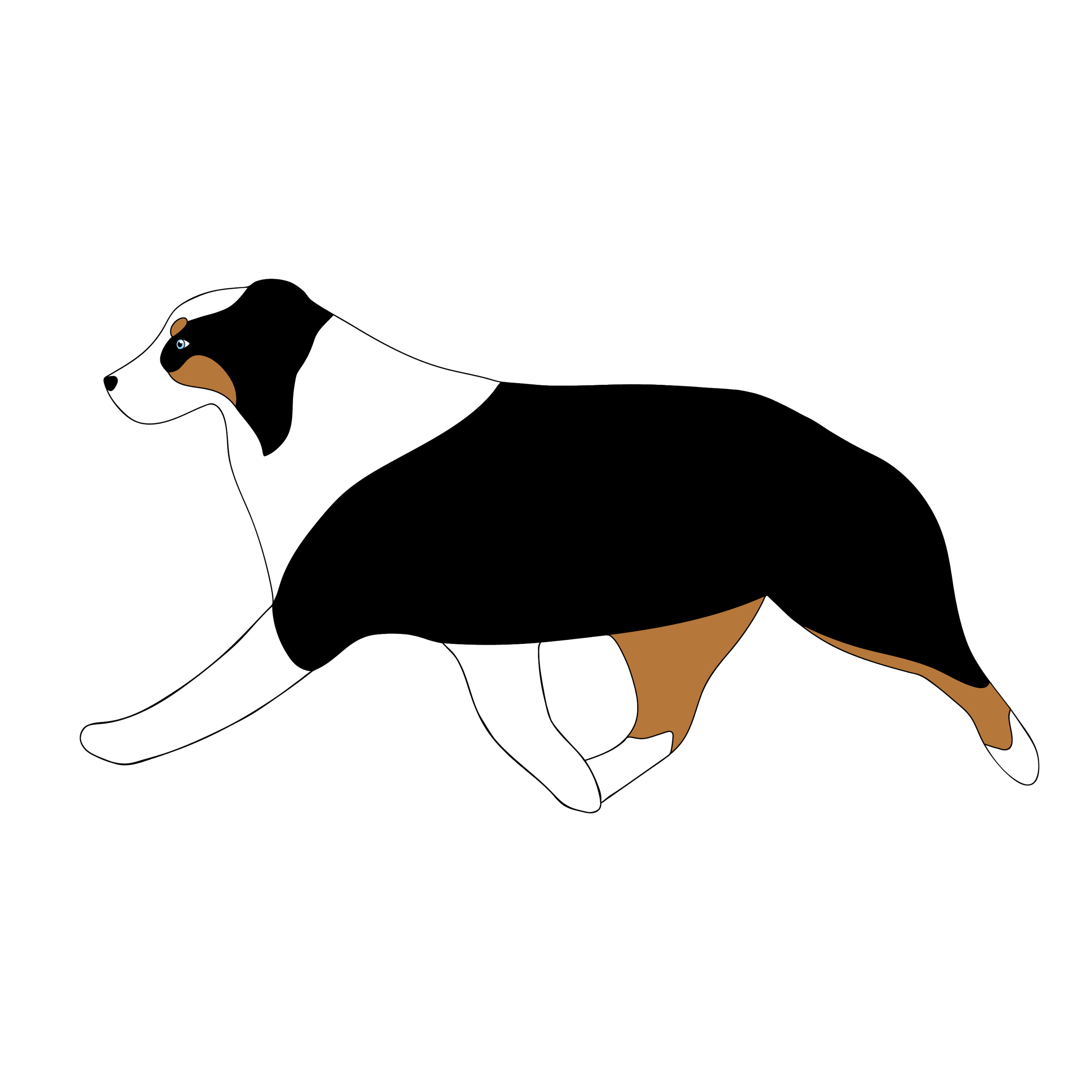 IMG_1060.png