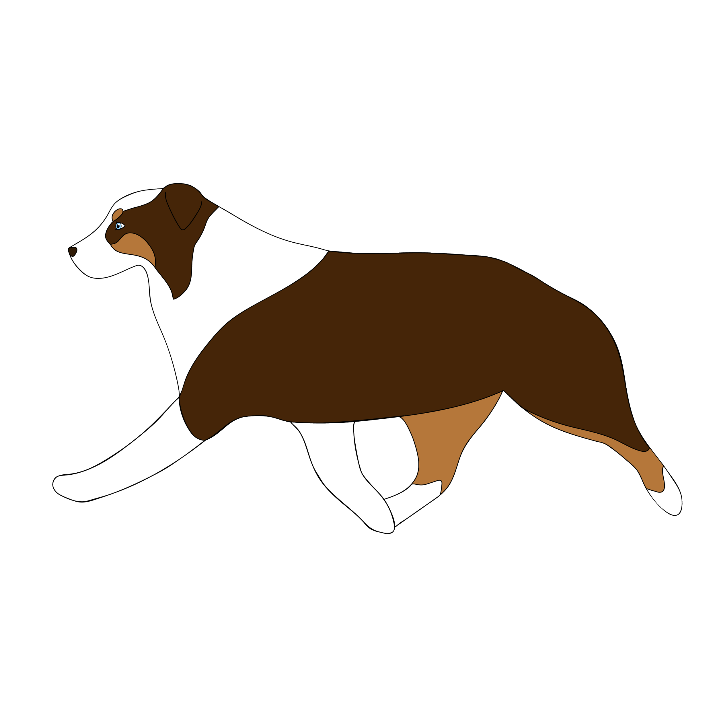 IMG_1057.png