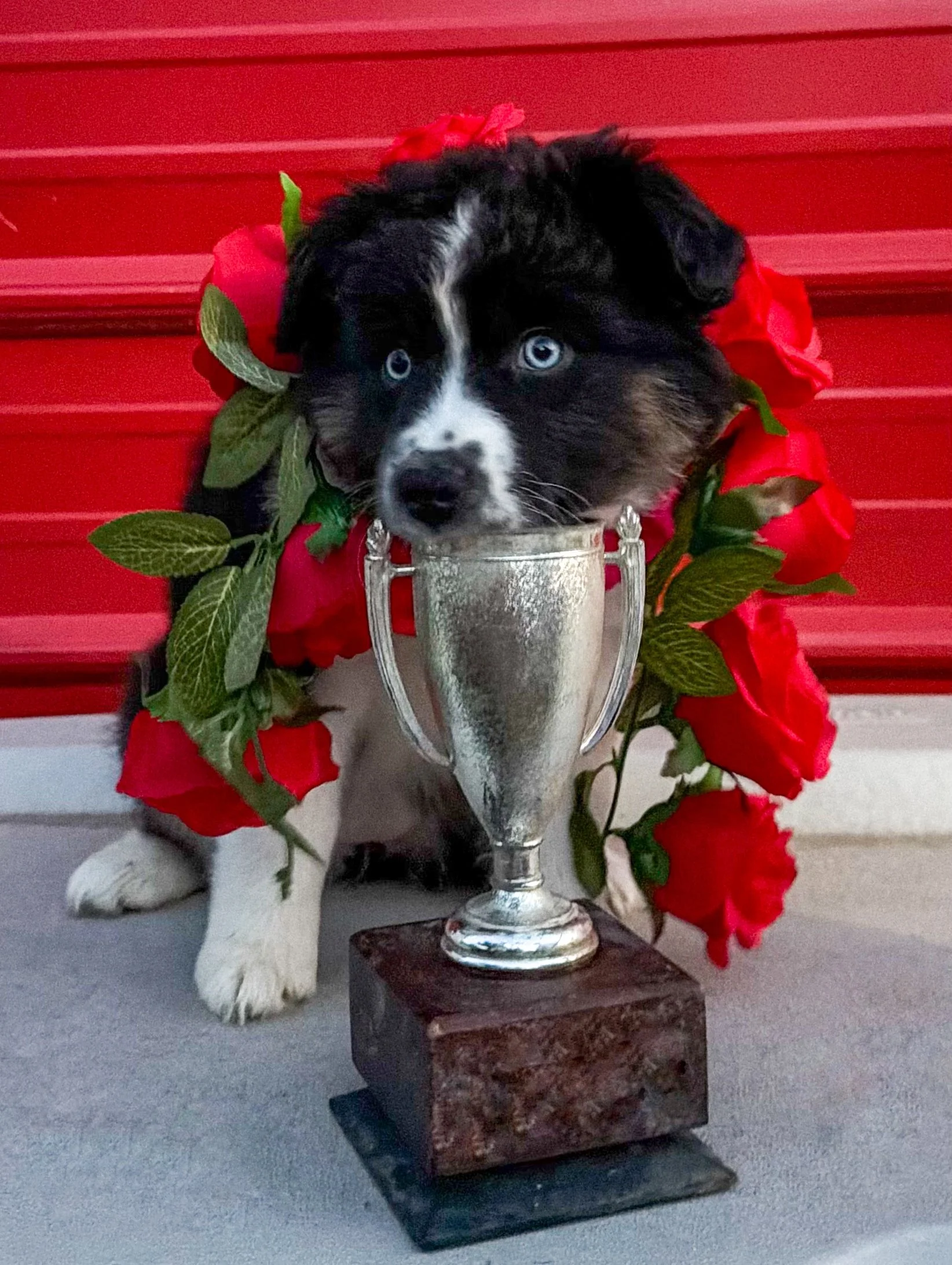 Taste testing the trophy!