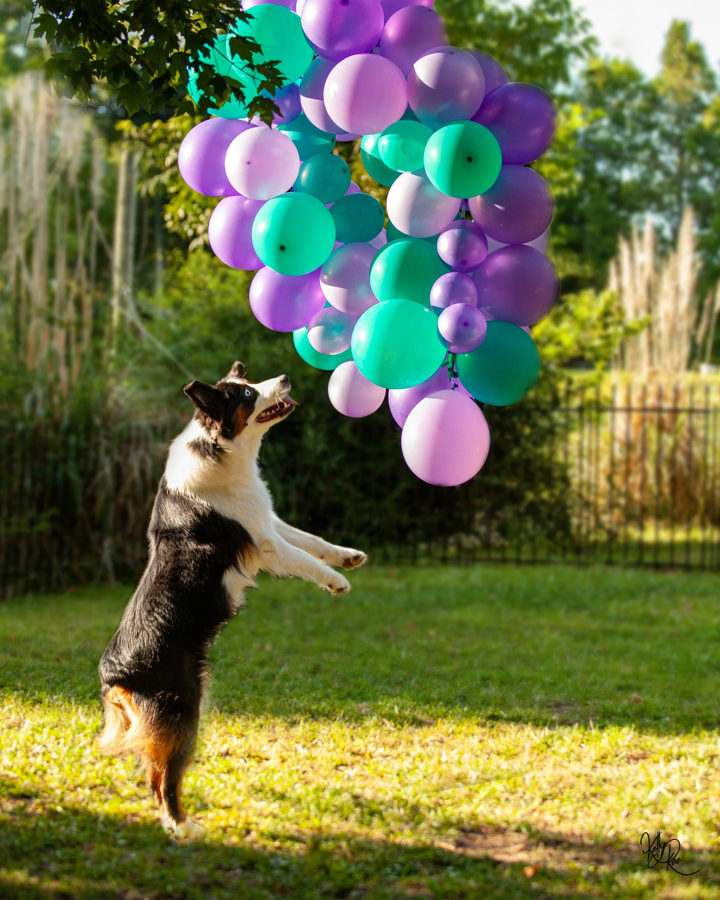 Morganna's1stbday3.jpeg