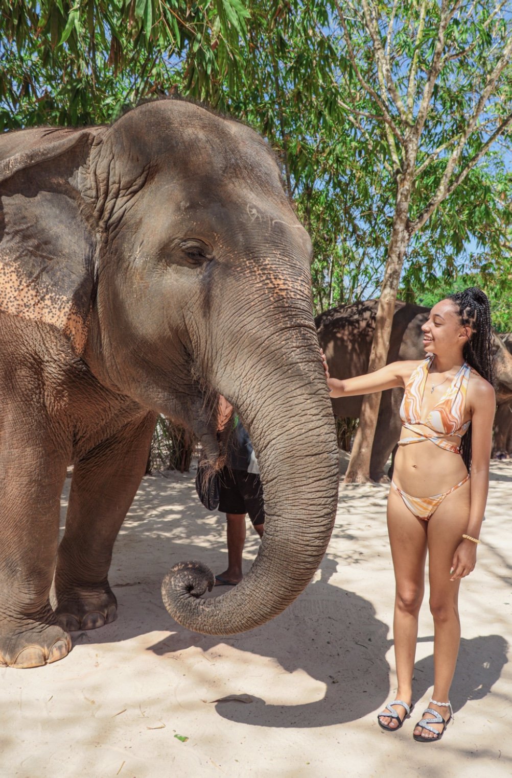 A woman in a bikini smiles and petting an elephant in a sunny outdoor setting with trees.
