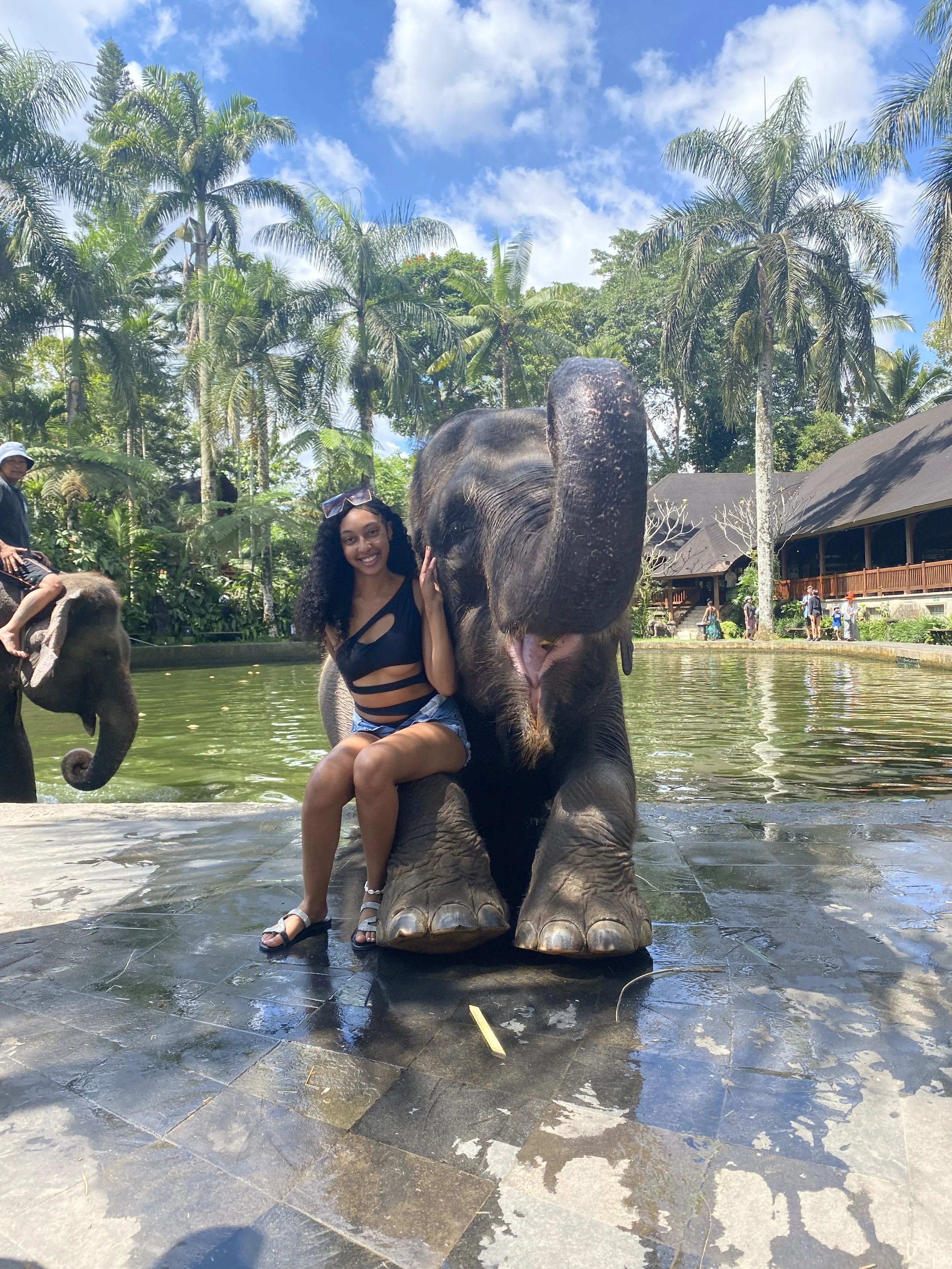 A woman sitting on a young elephant in a pool, smiling, in a tropical setting with palm trees and a building in the background.