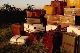 Additional Traveler(s)