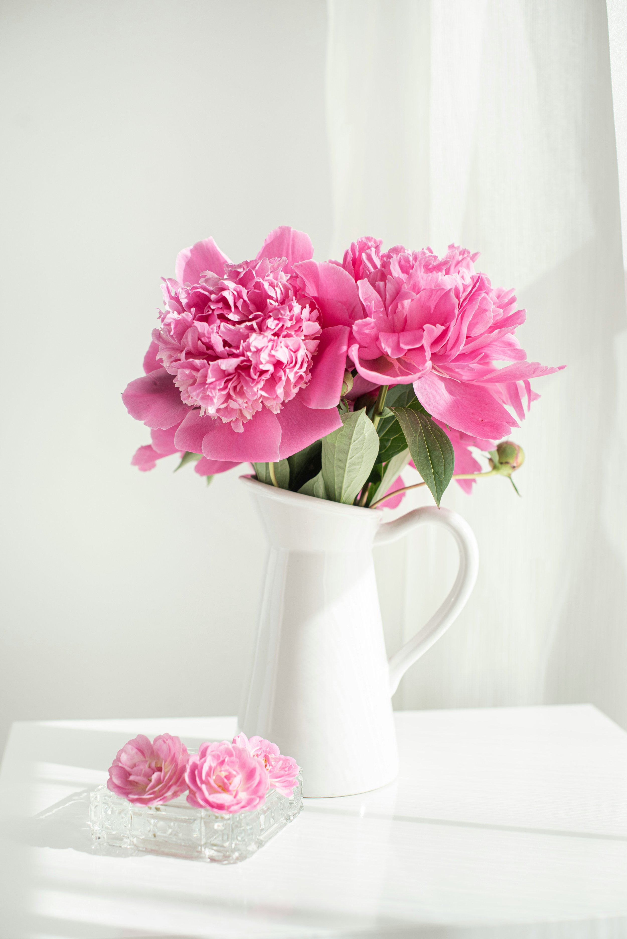 A white pitcher-style vase holds a bouquet of bright pink flowers against a white backdrop.