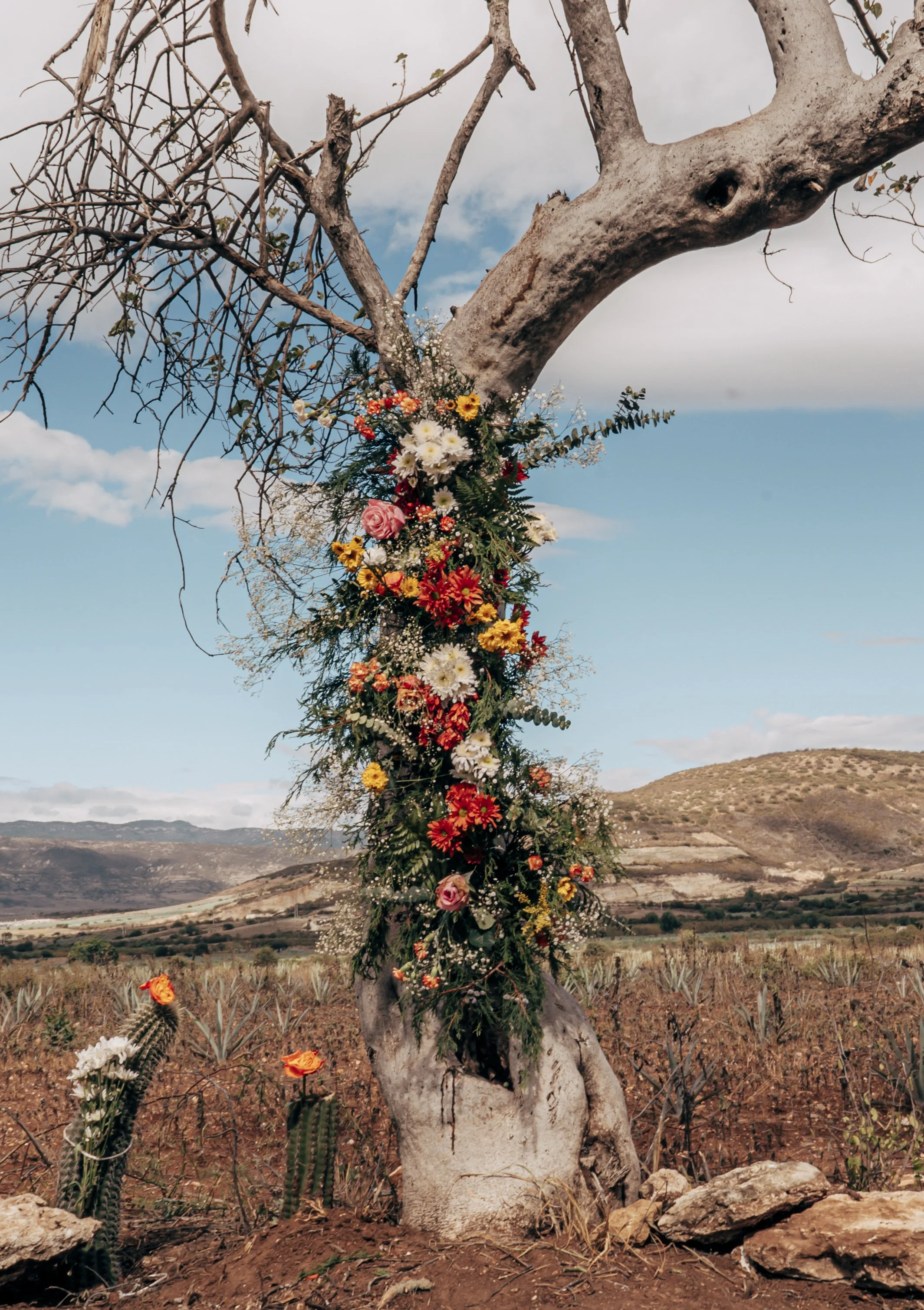 Paola & Gustavo_2.jpg