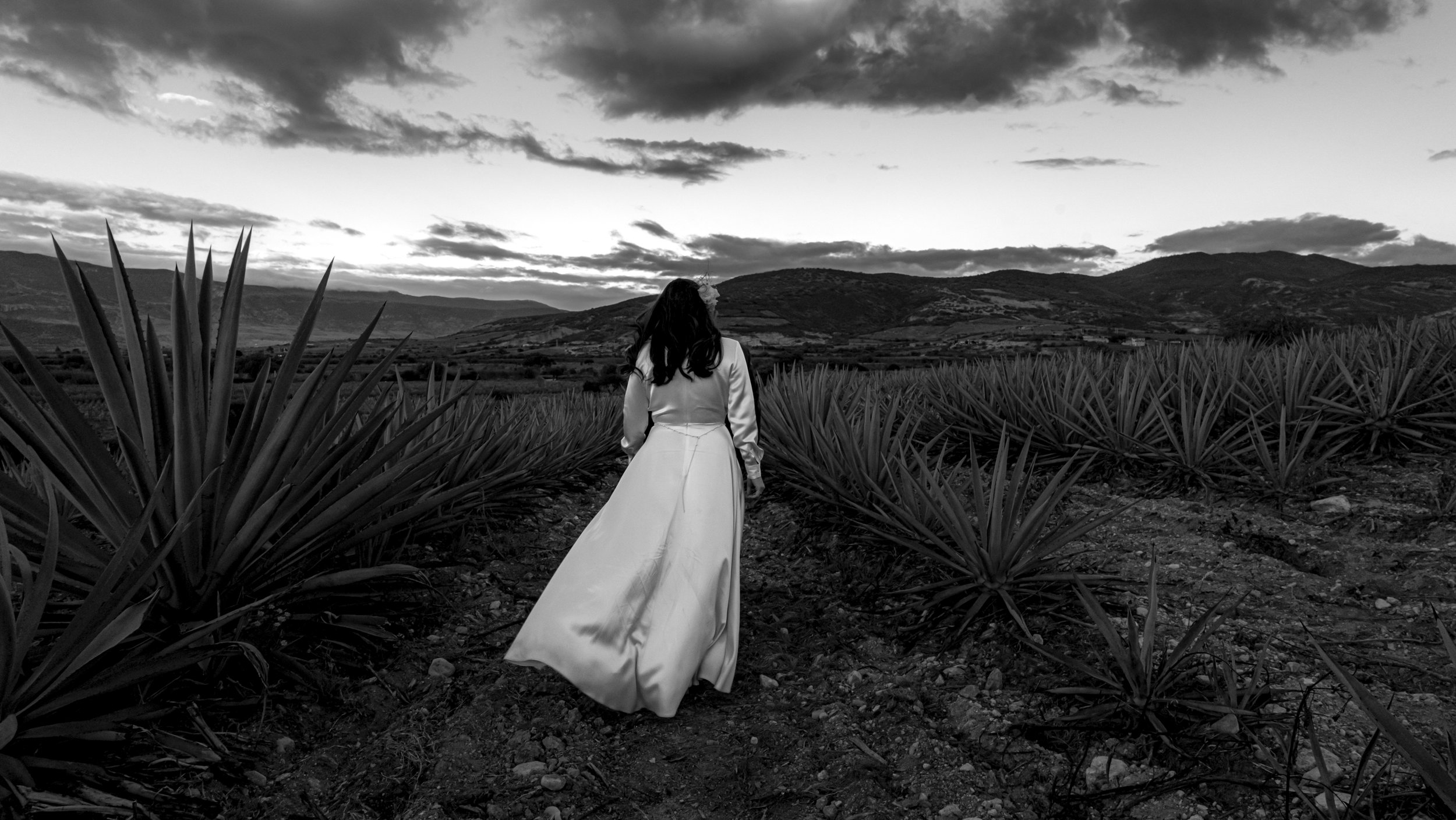 Paola & Gustavo_37.jpg