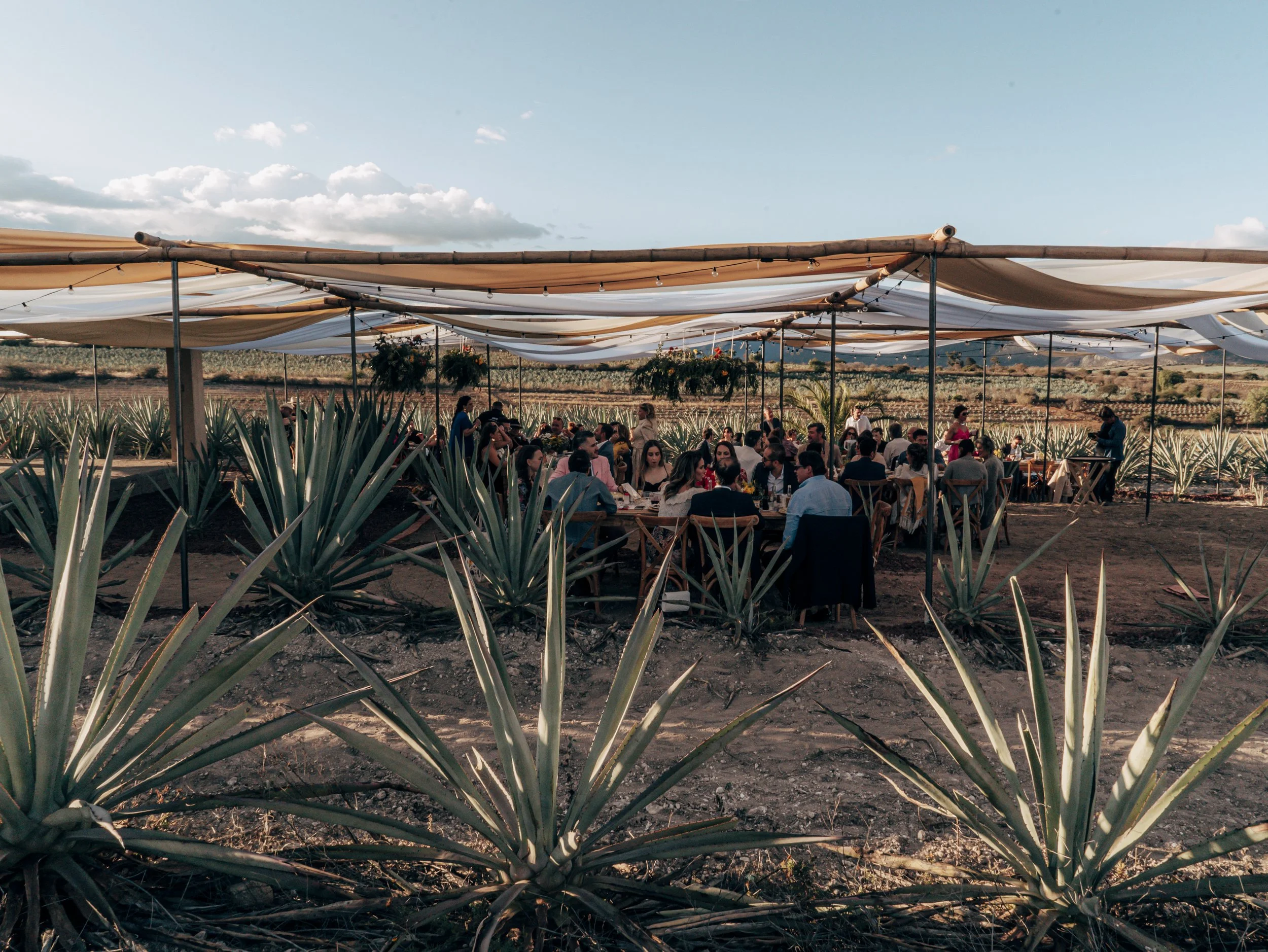 Paola & Gustavo_35.jpg