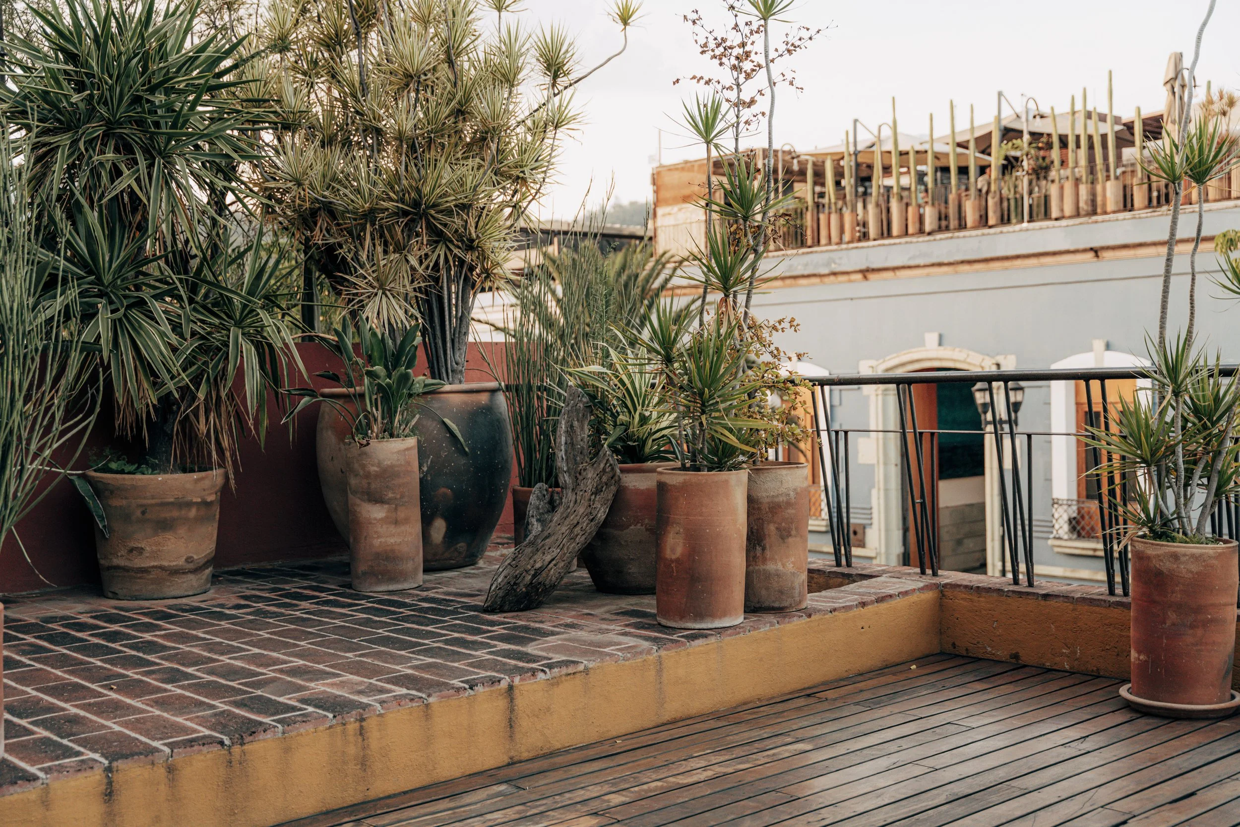 Mar Y Sol & Alfredo_6.jpg