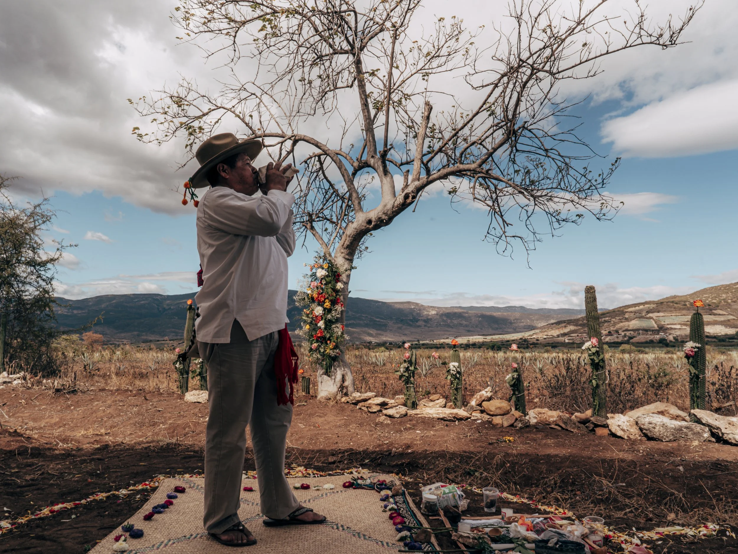 Paola & Gustavo_3.jpg