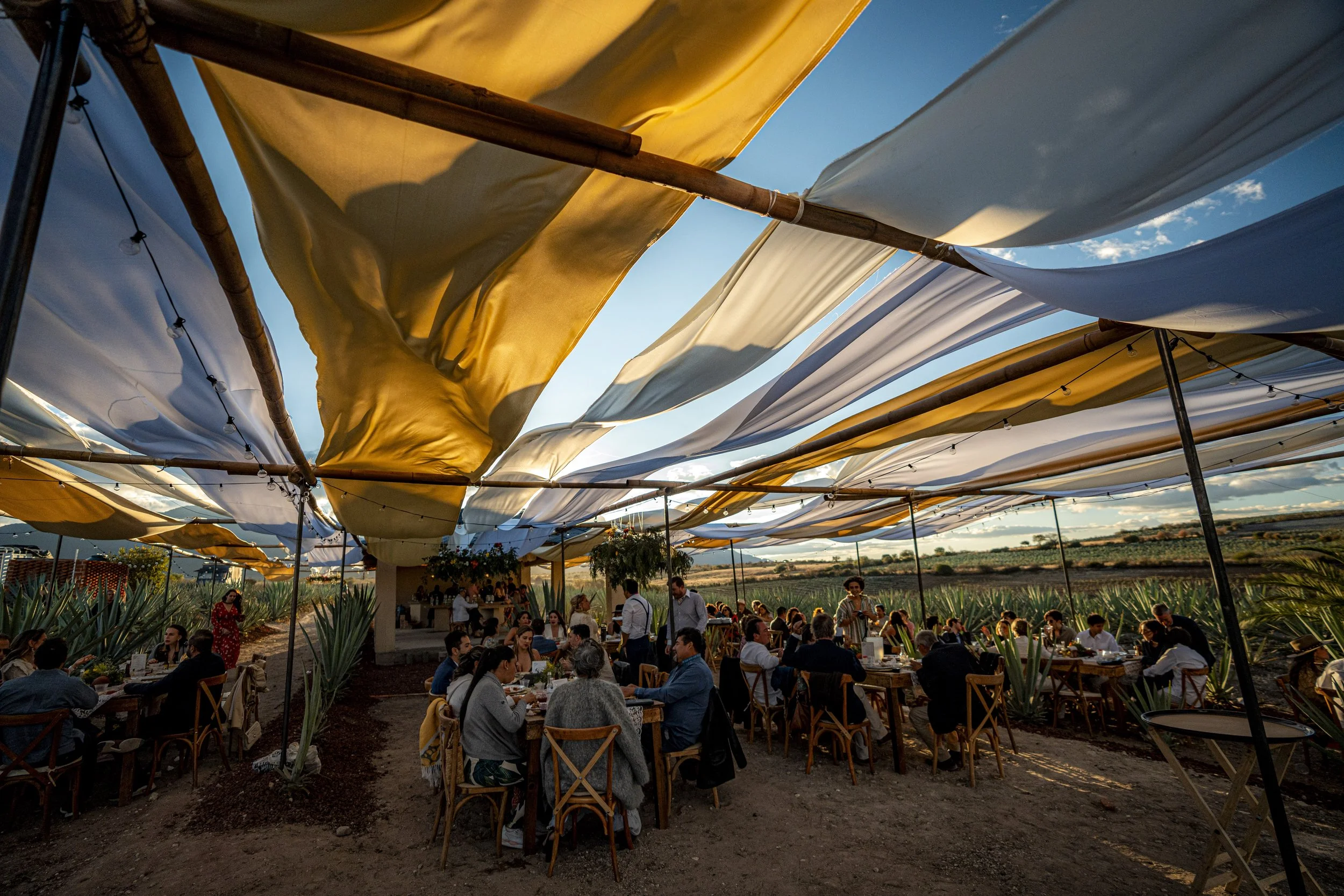 Paola & Gustavo_51.jpg