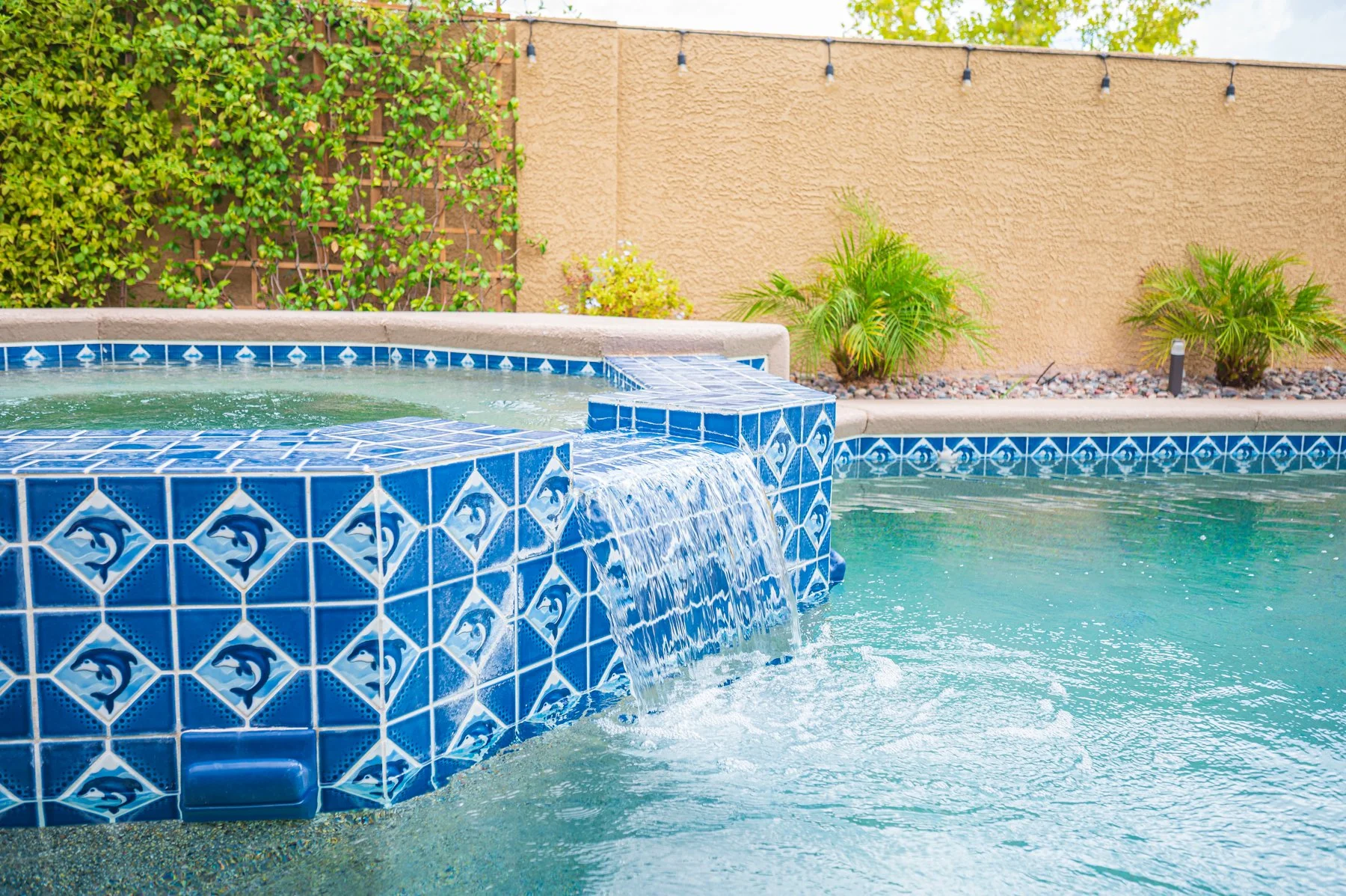1812 Monterey Cypress St-107.jpg