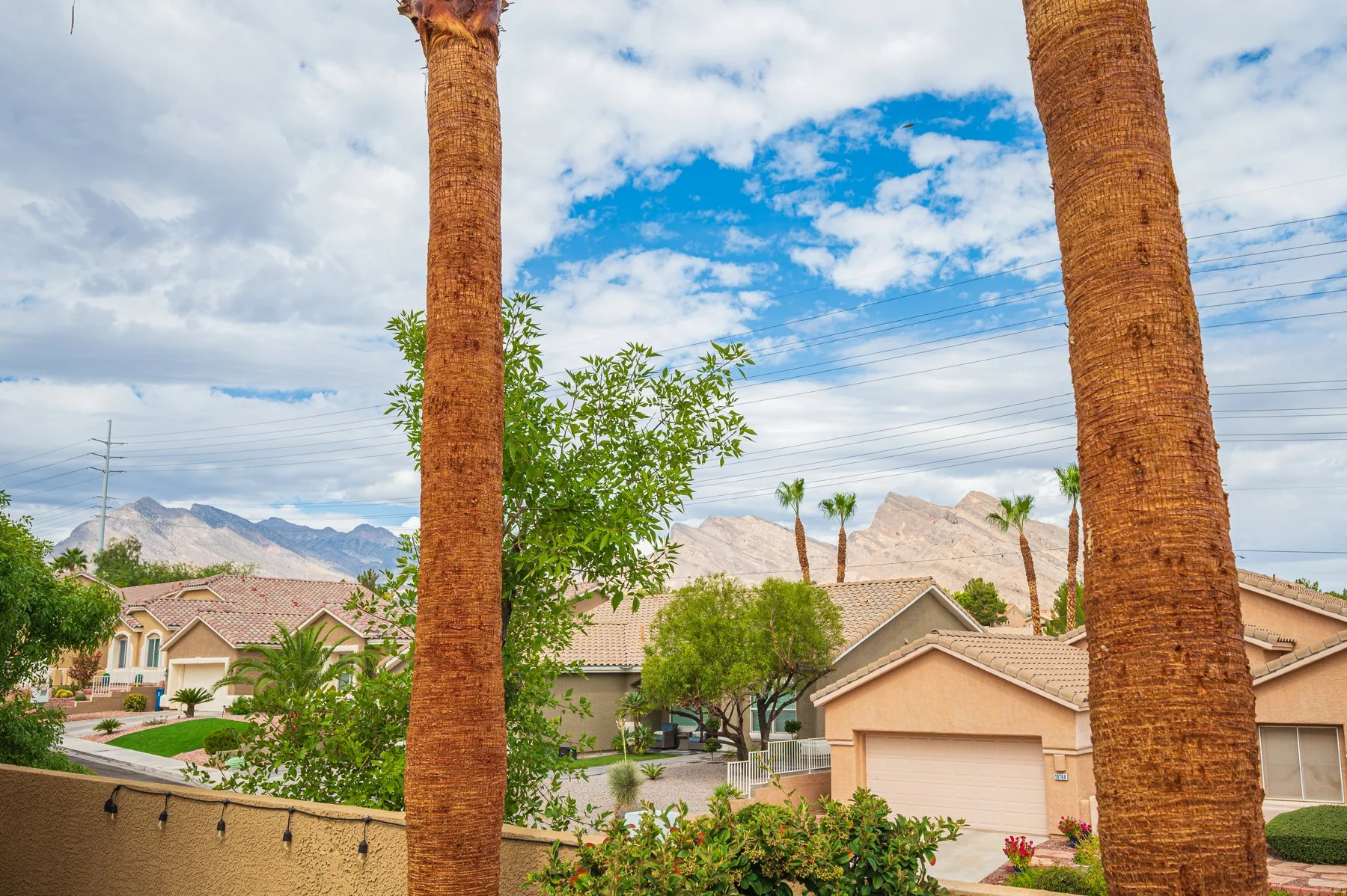 1812 Monterey Cypress St-114.jpg