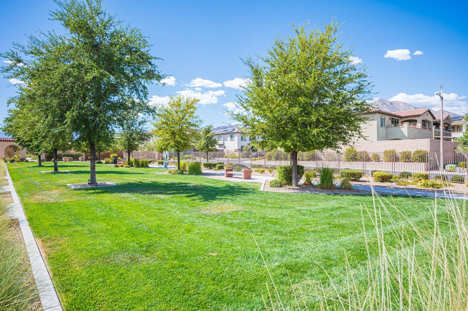 322 Elder View Dr-172.jpg