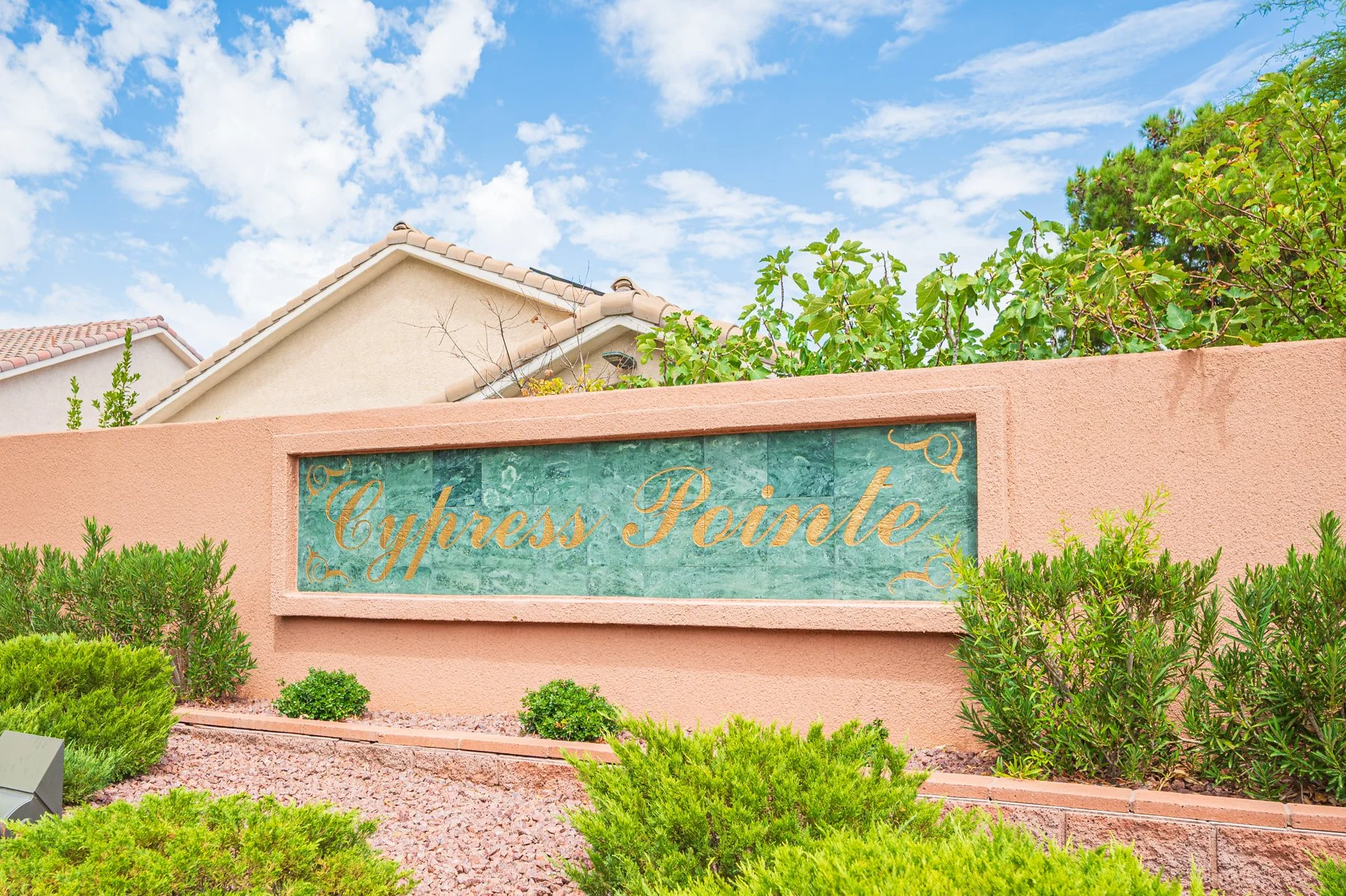 1812 Monterey Cypress St-155.jpg