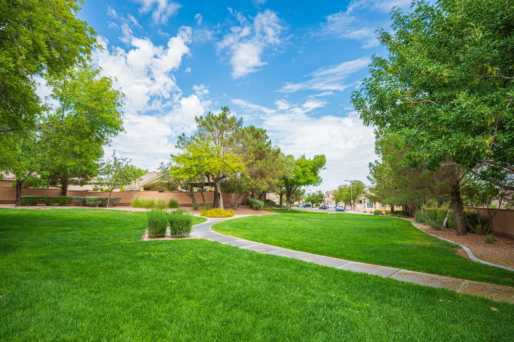 1812 Monterey Cypress St-154.jpg