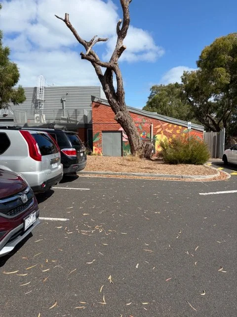 Learn_ballet_in_frankston_adults