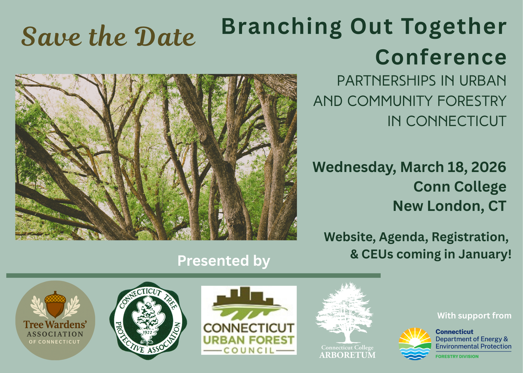 Branching Out Together Conference