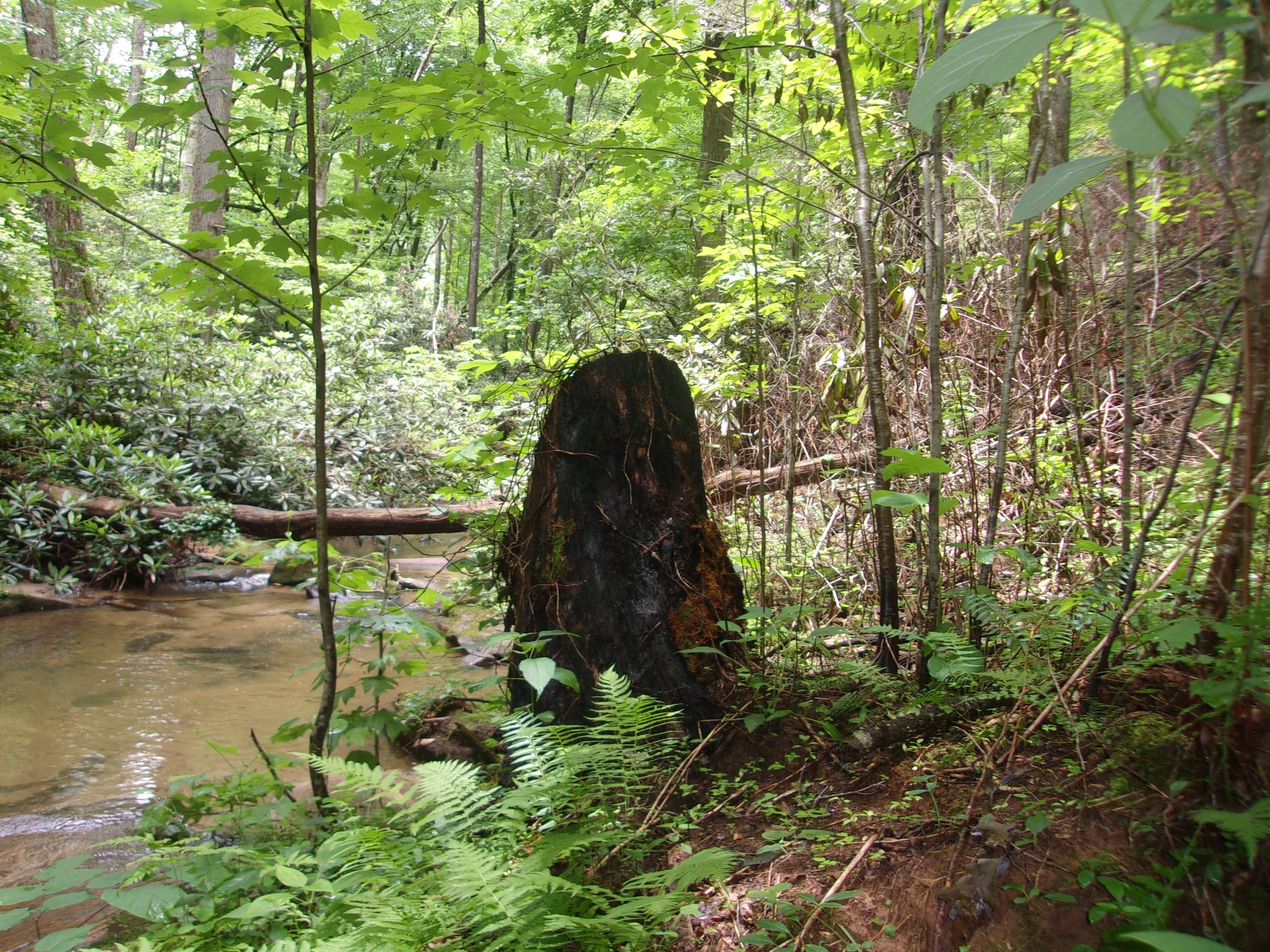 grave_1 | june 7, 2025