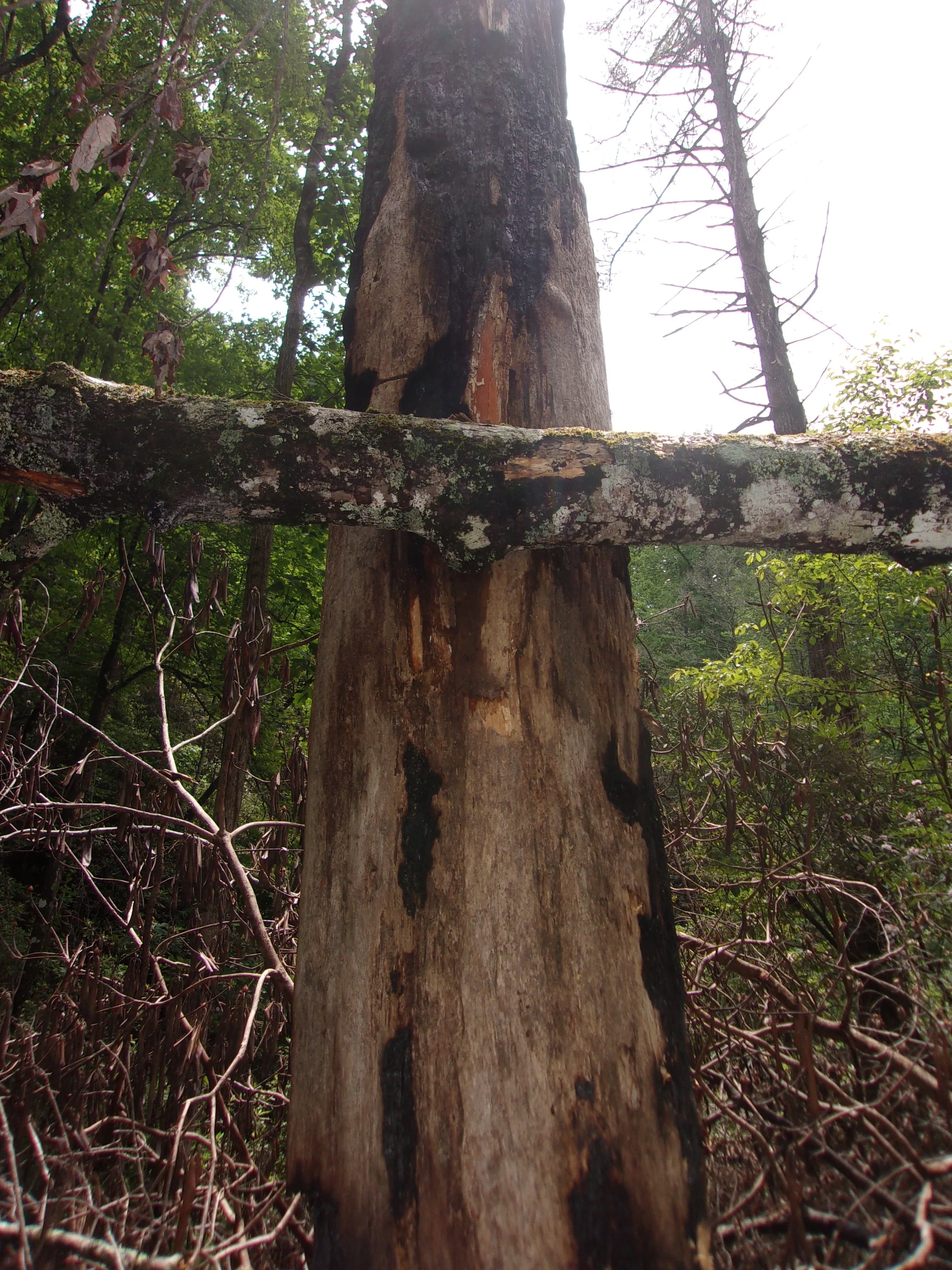 crucifix_1 | june 7, 2025