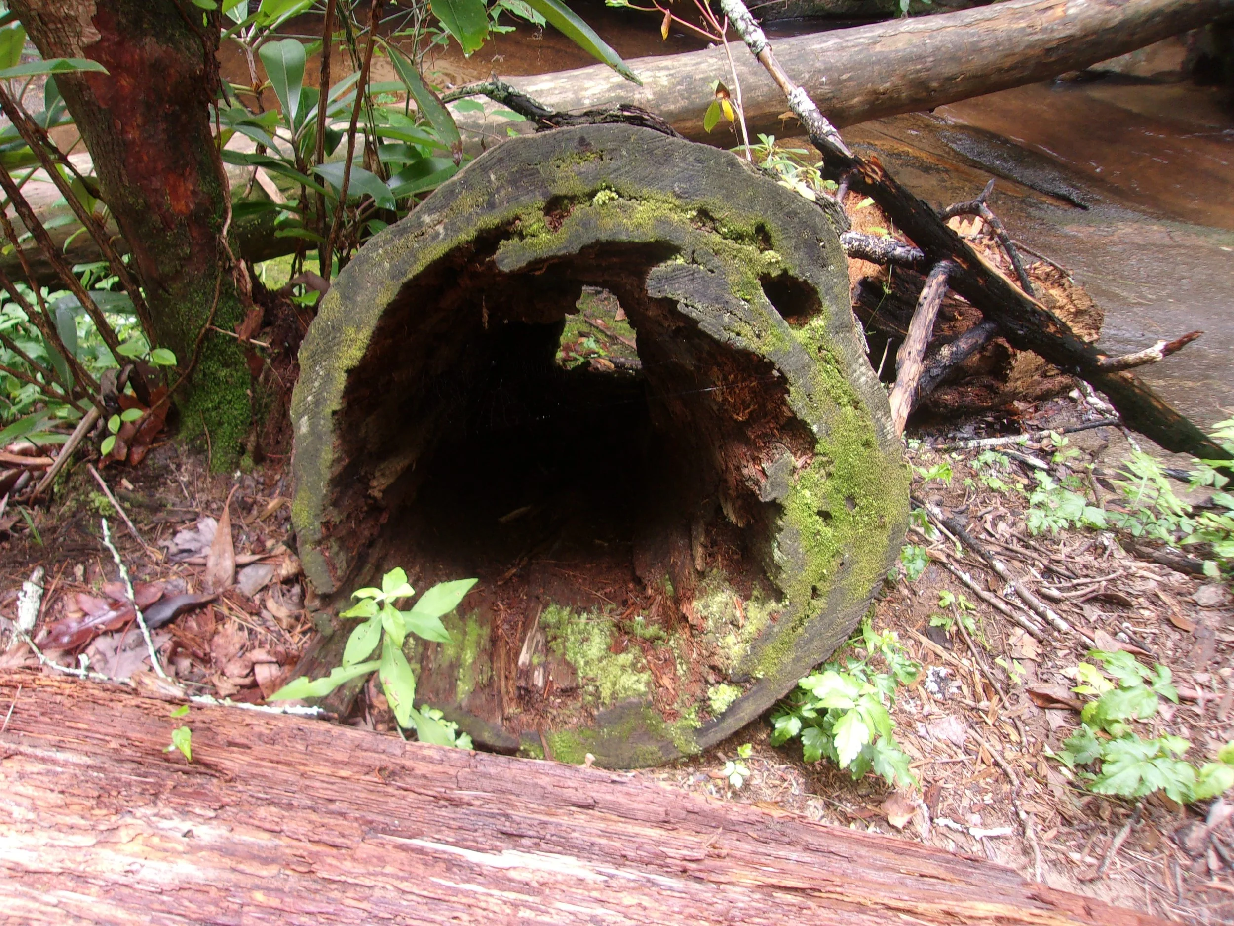 faces_4 | june 7, 2025