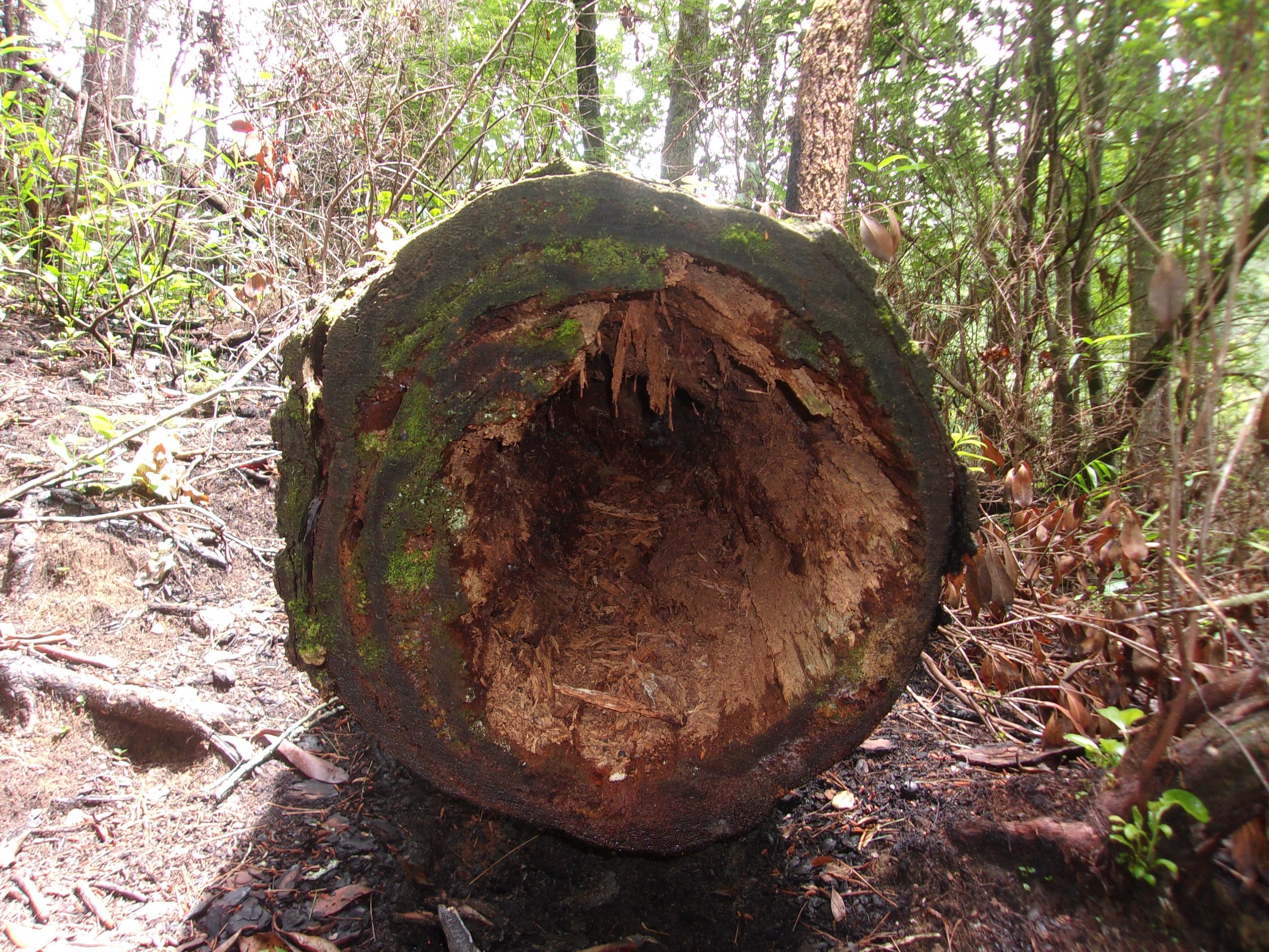 faces_2 | june 7, 2025