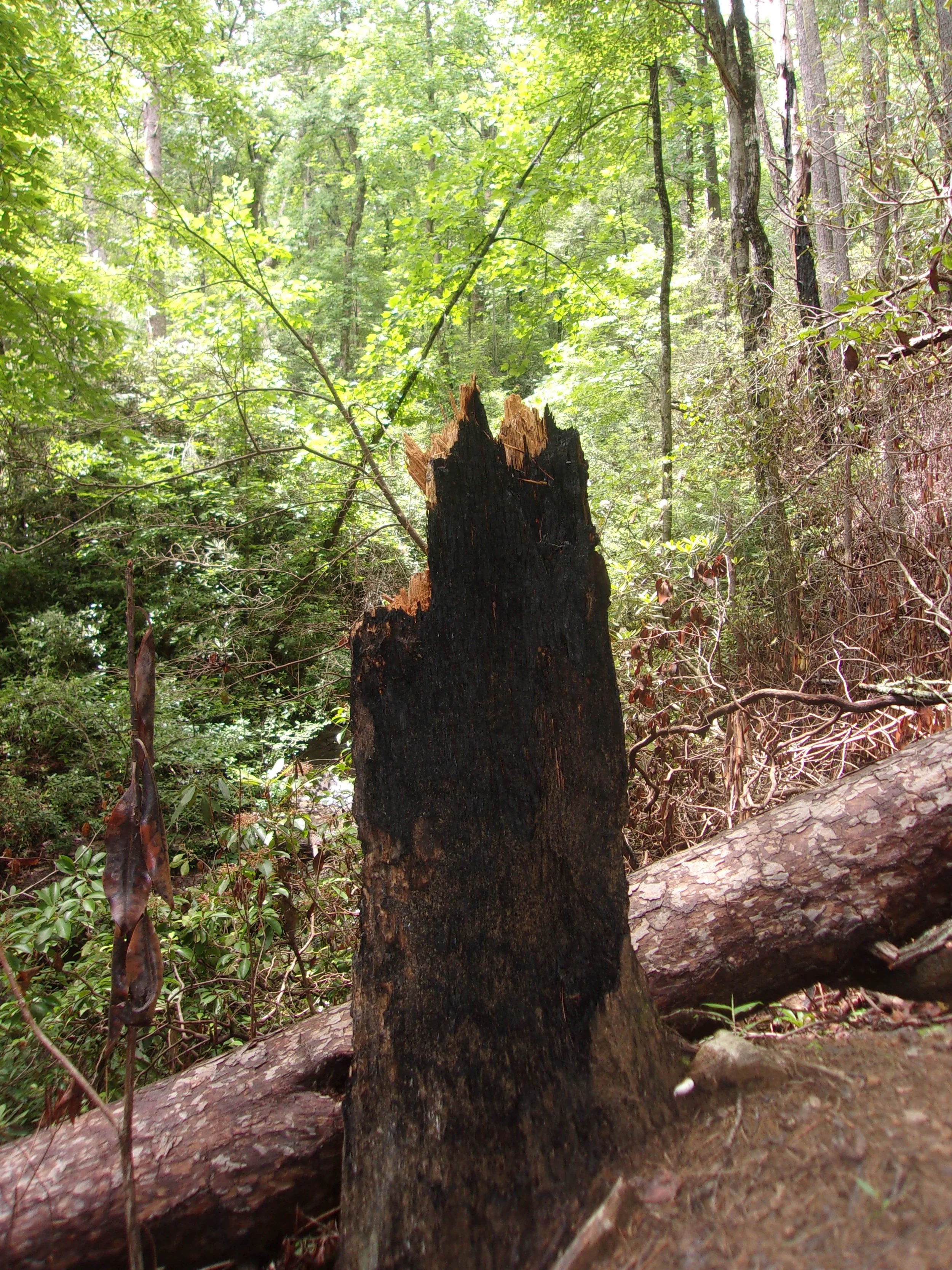 grave_2 | june 7, 2025