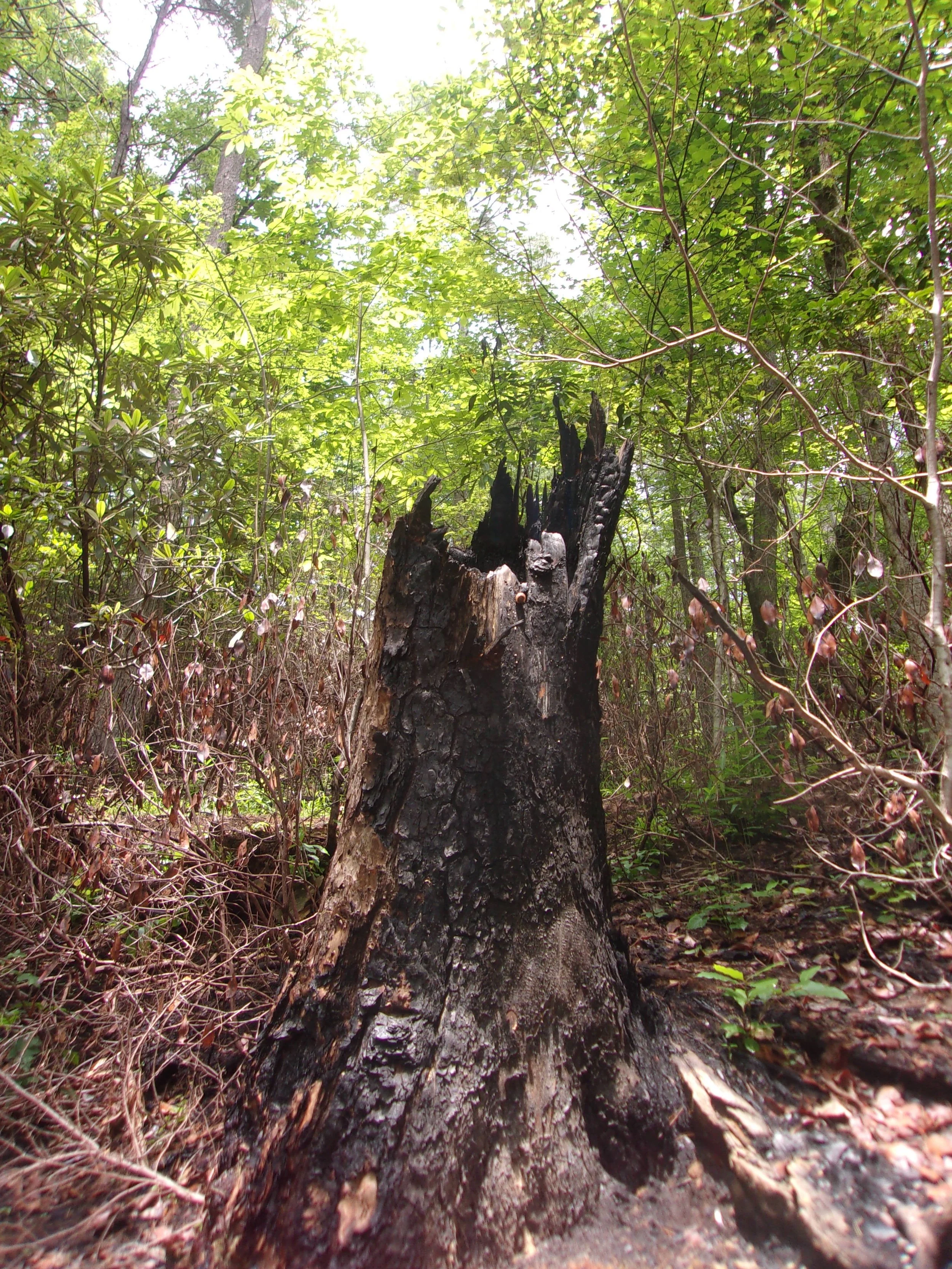 grave_3 | june 7, 2025