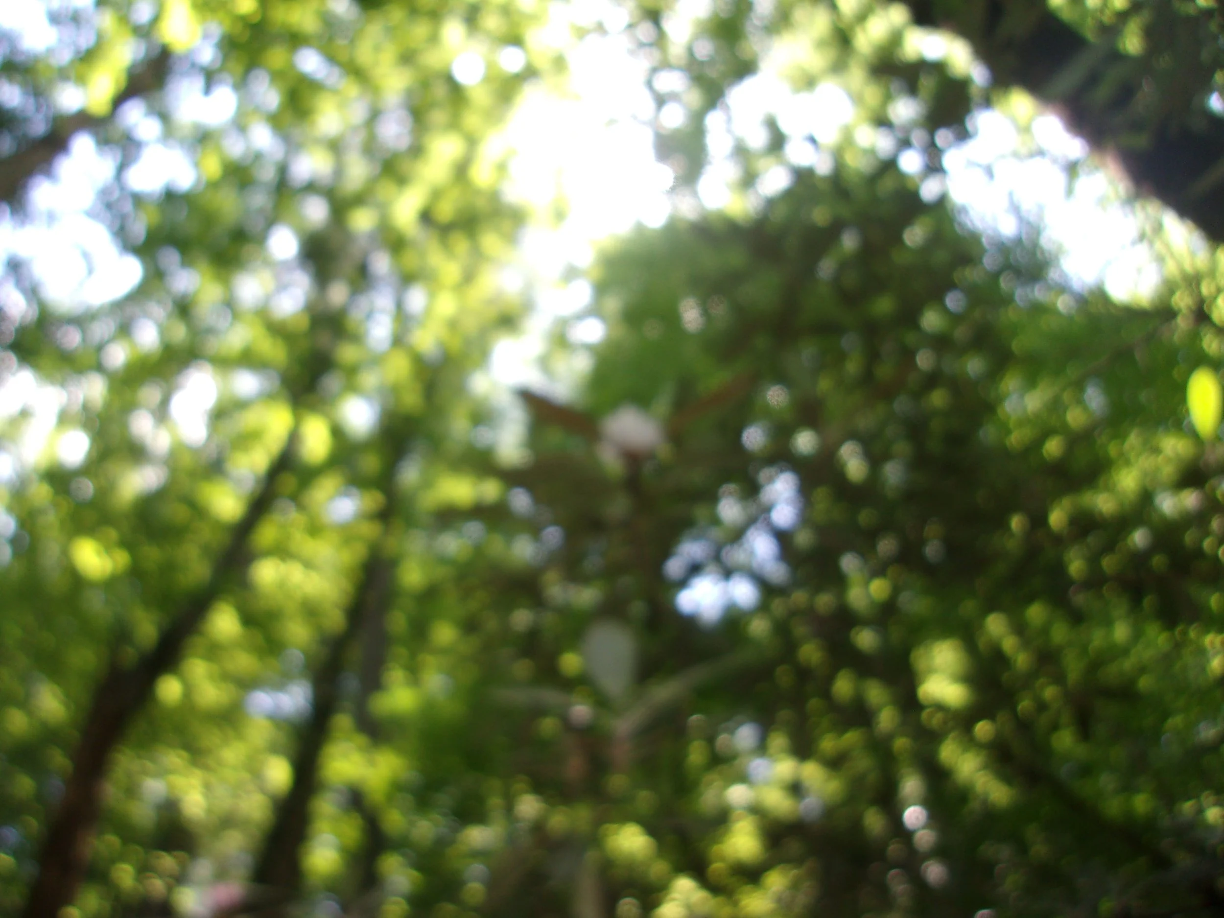 heaven_2 | june 7, 2025